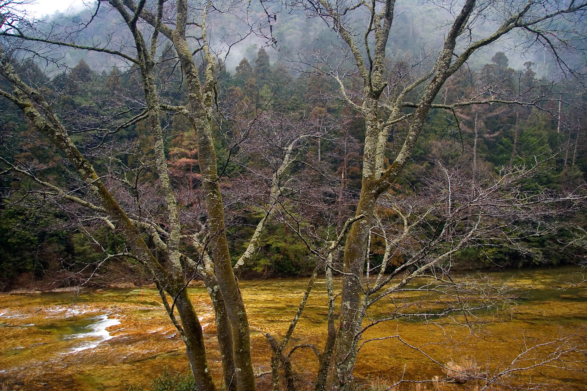 Yuya Onsen, Aiichi, Japan