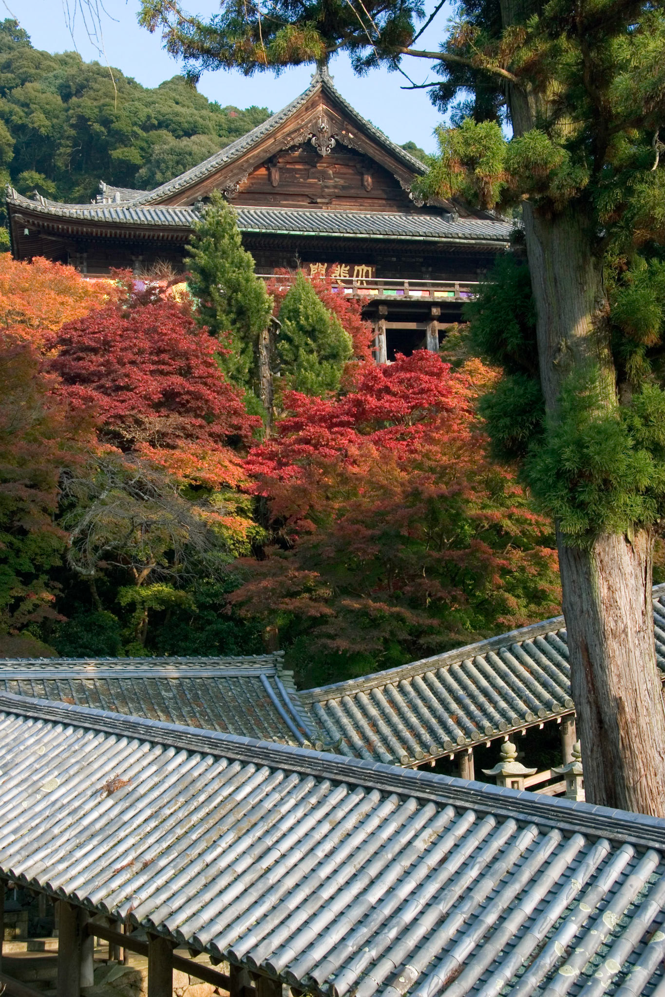 Hasedera Temple, Nara Japan