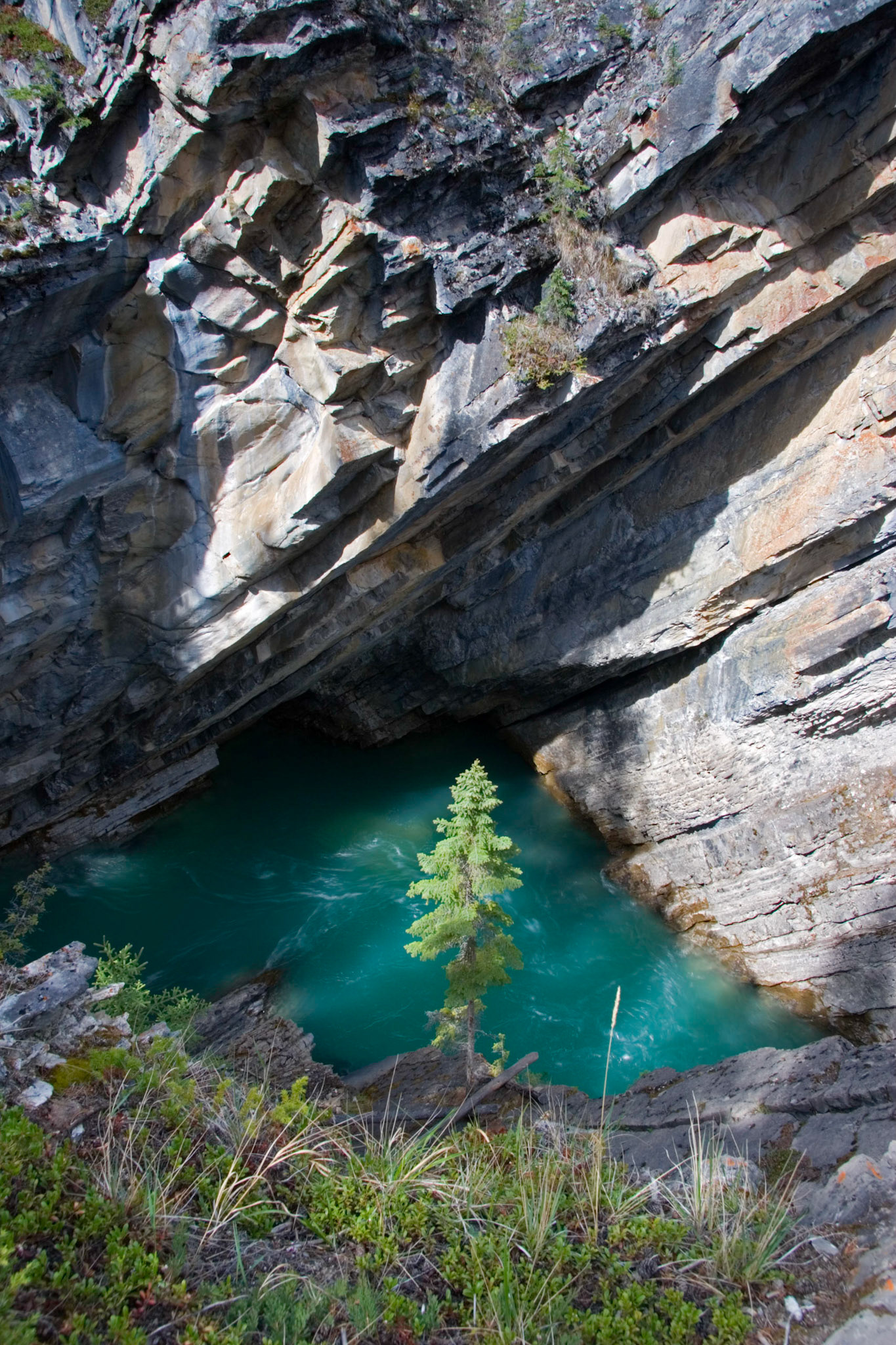 David Thompson Country, Alberta