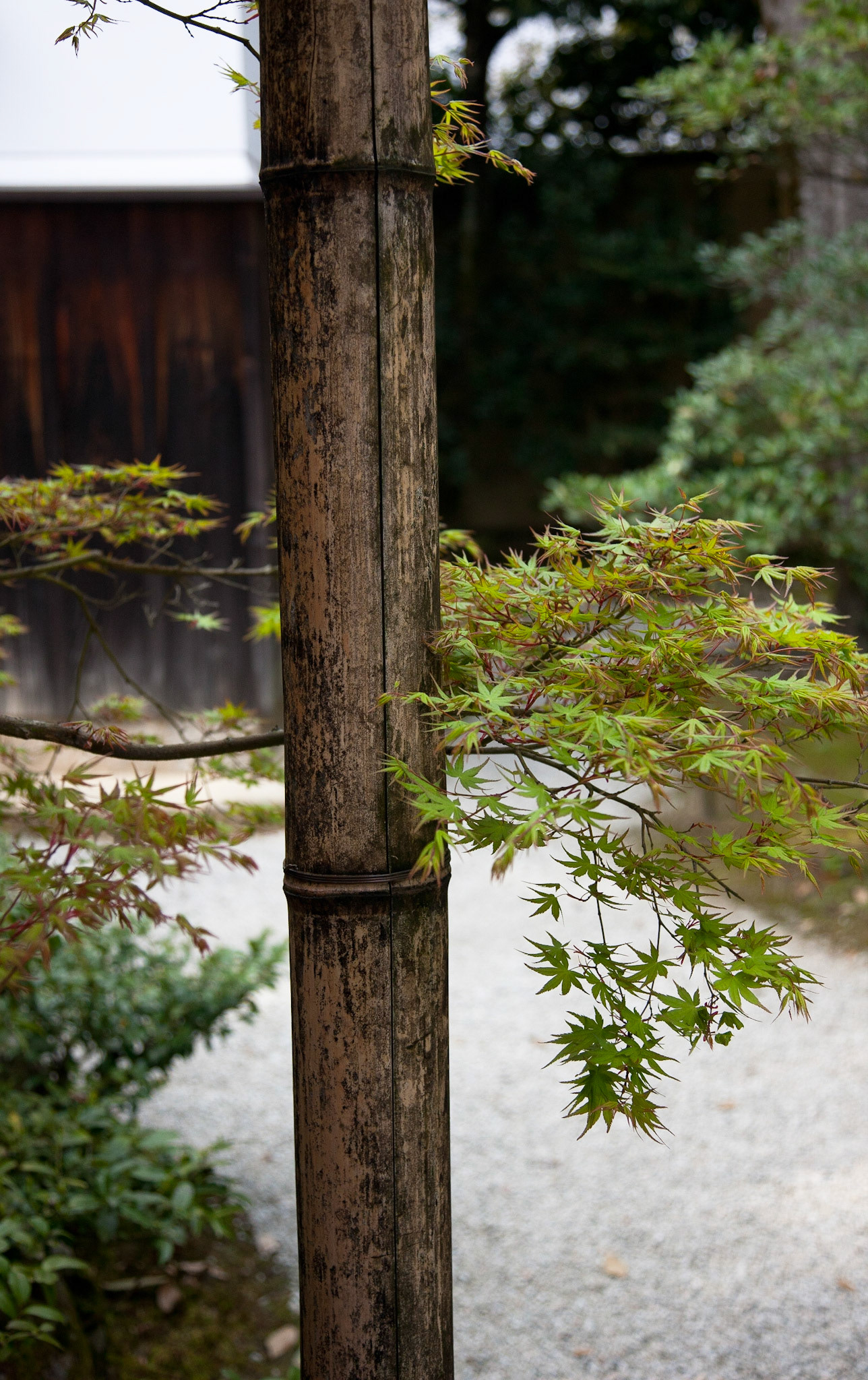 Kyoto Imperial Palace, Japan