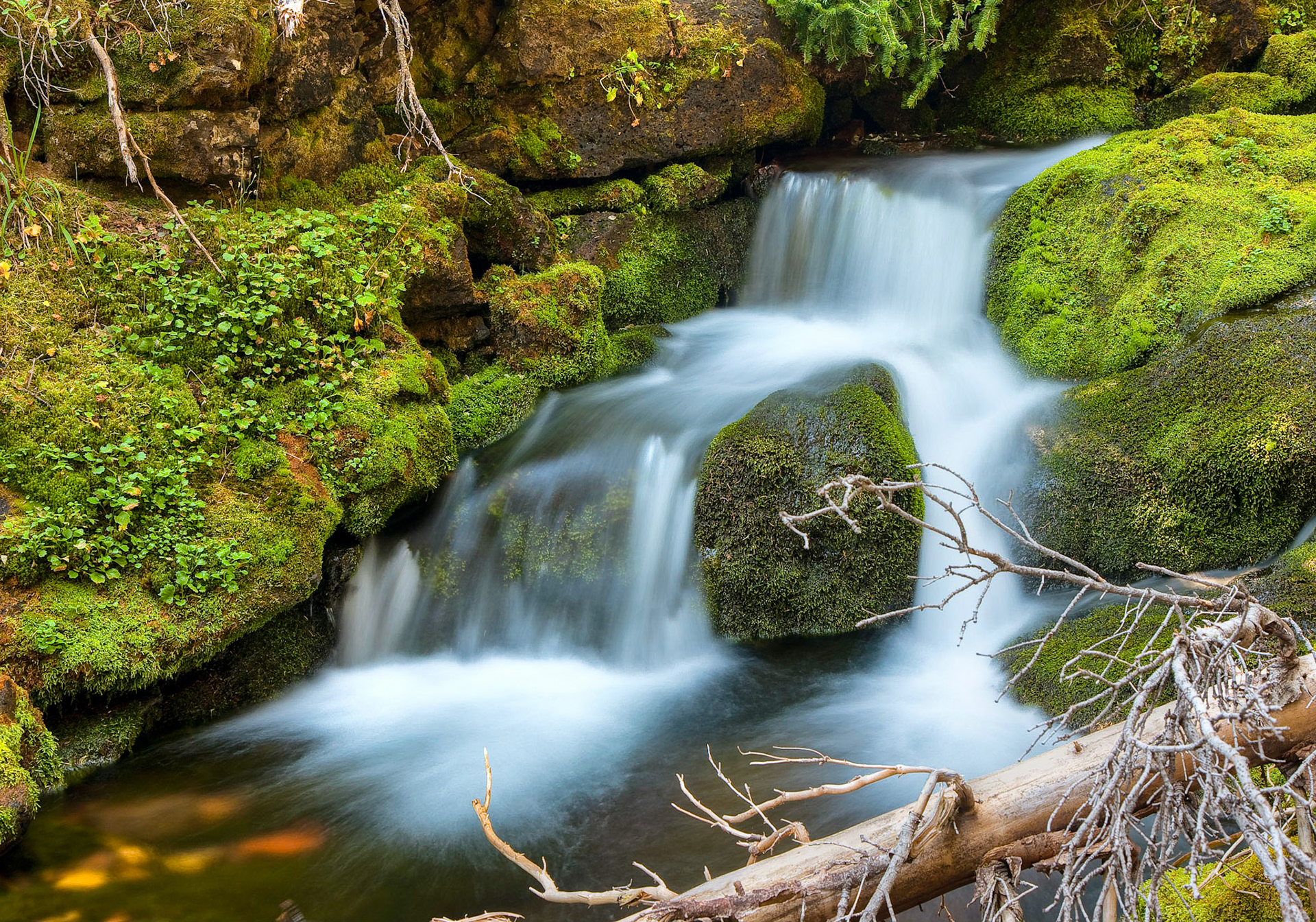 Waterton Lakes National Park, Alb erta