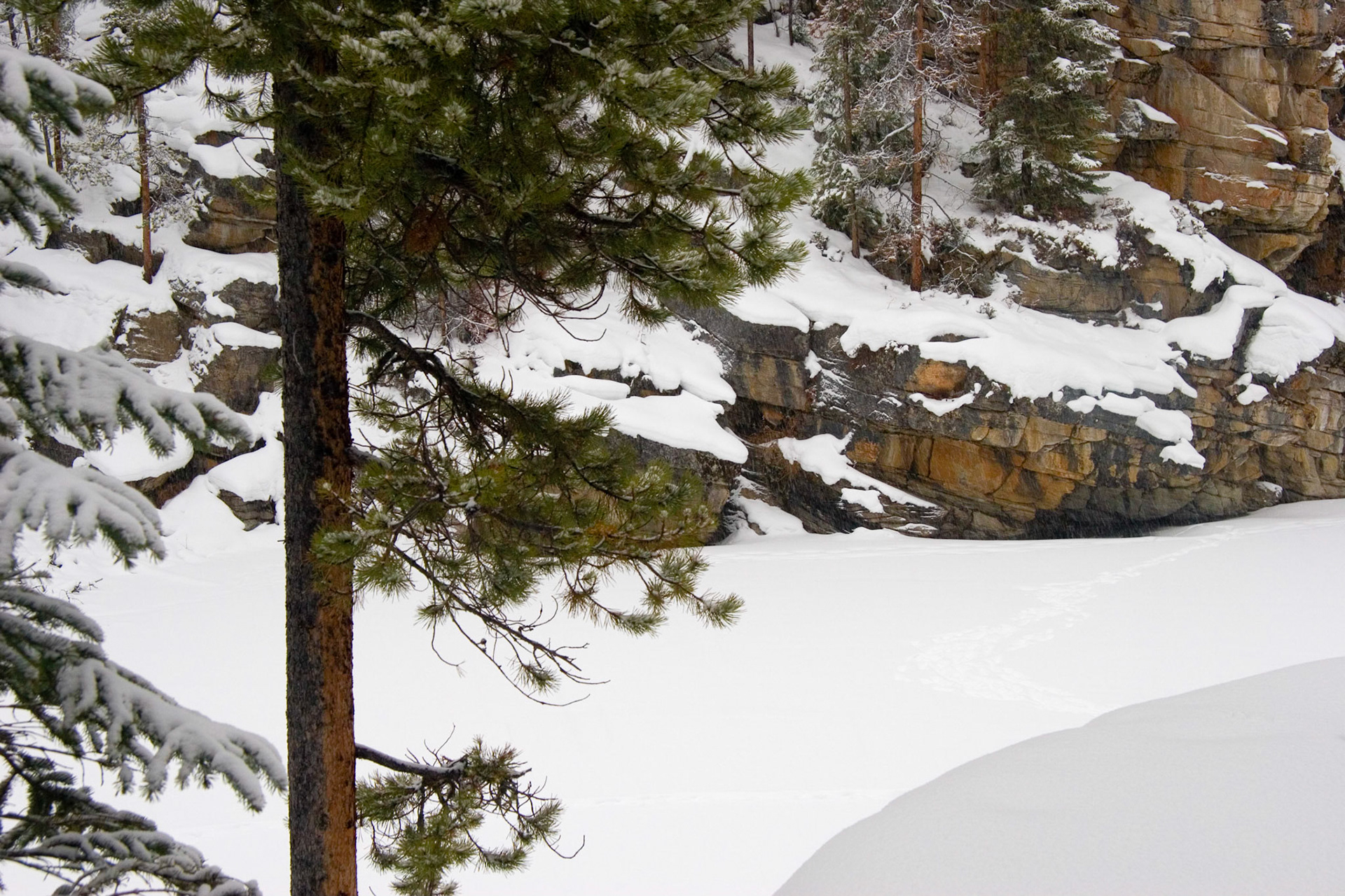 Horseshoe Lake, Jasper National Park