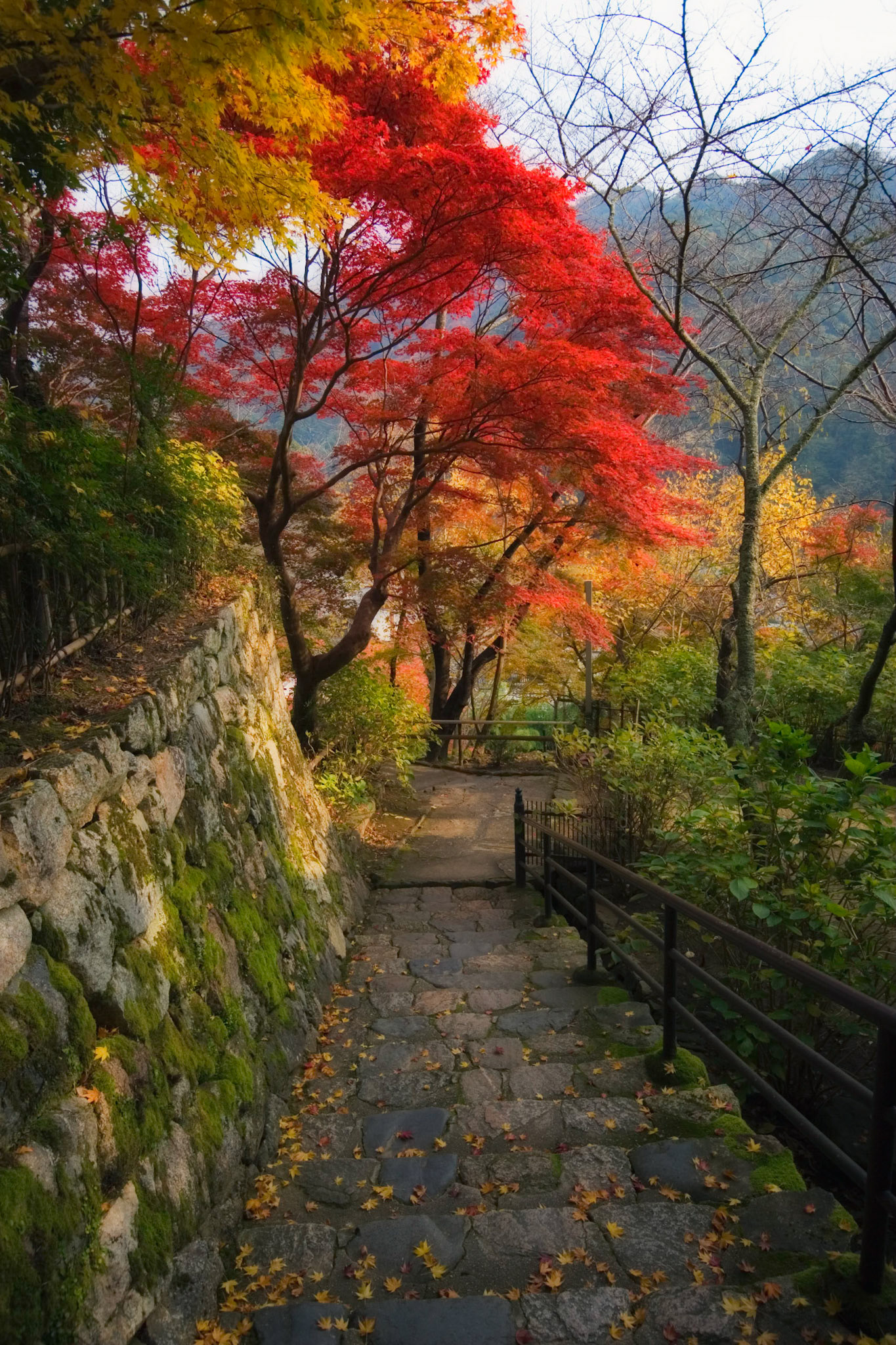 Hasedera Temple, Nara Prefecture, Japan