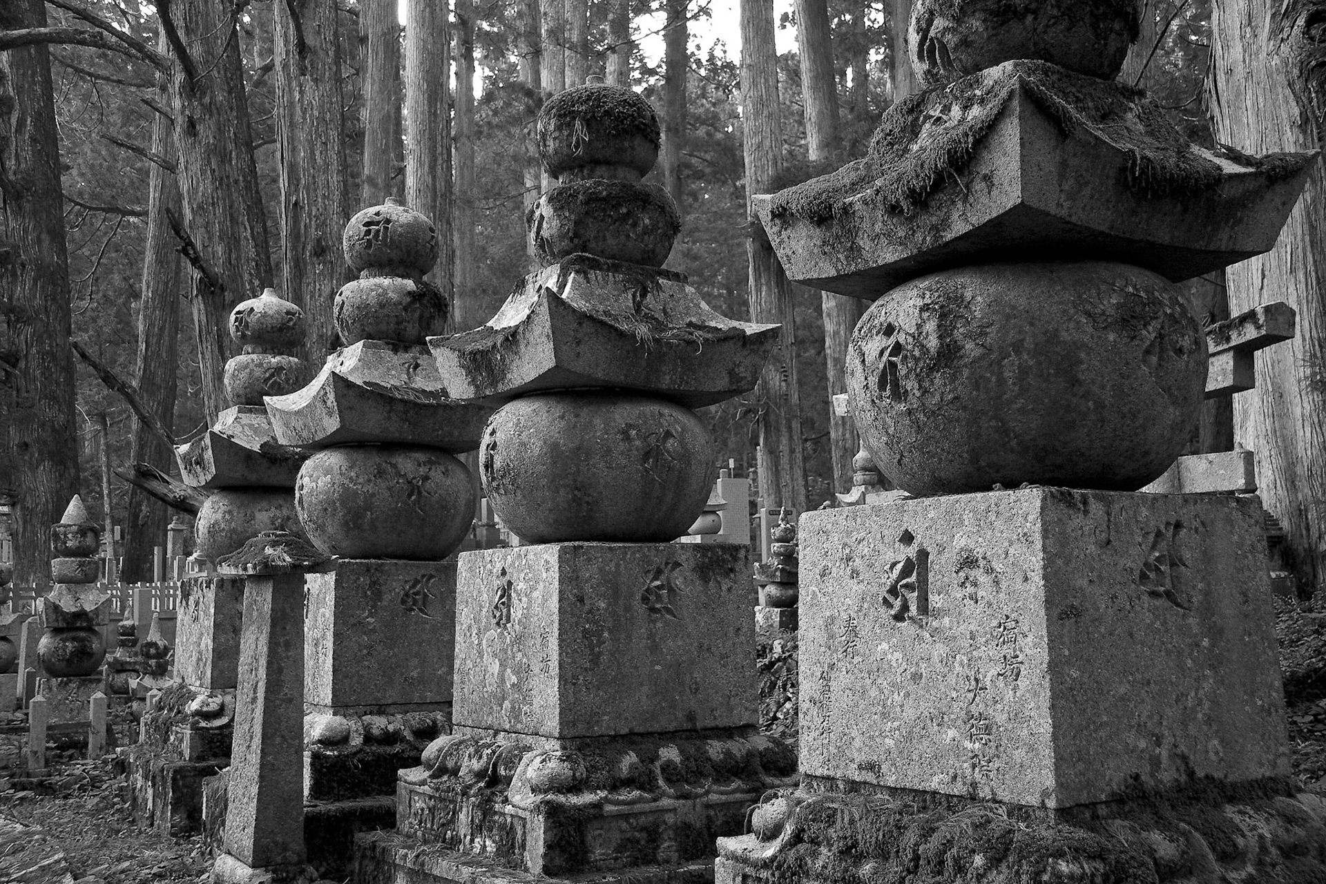 Okunoin monuments, Koyasan, Japan