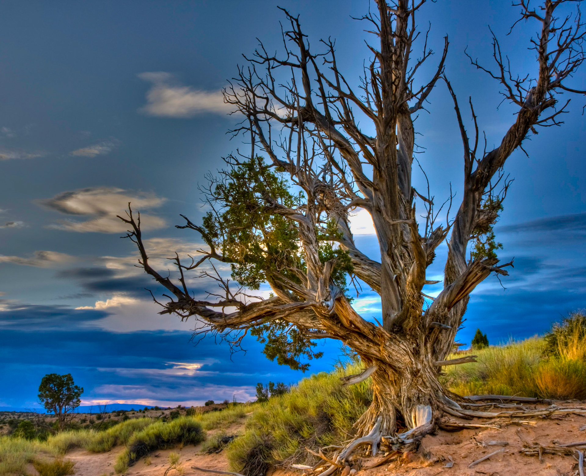 Devil's Garden, Grand Staircase Escalante, Utah