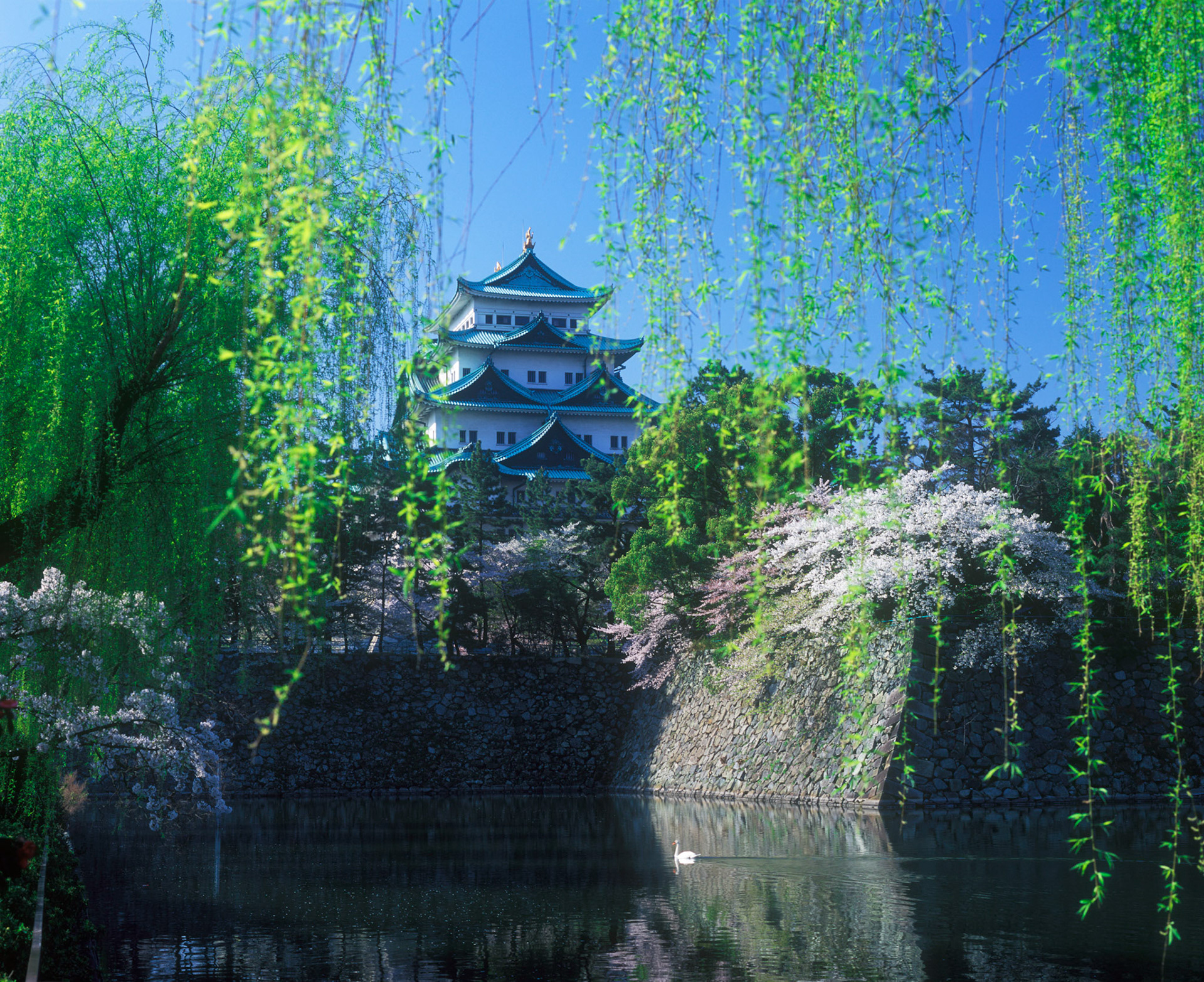 Nagoya Castle, Japan