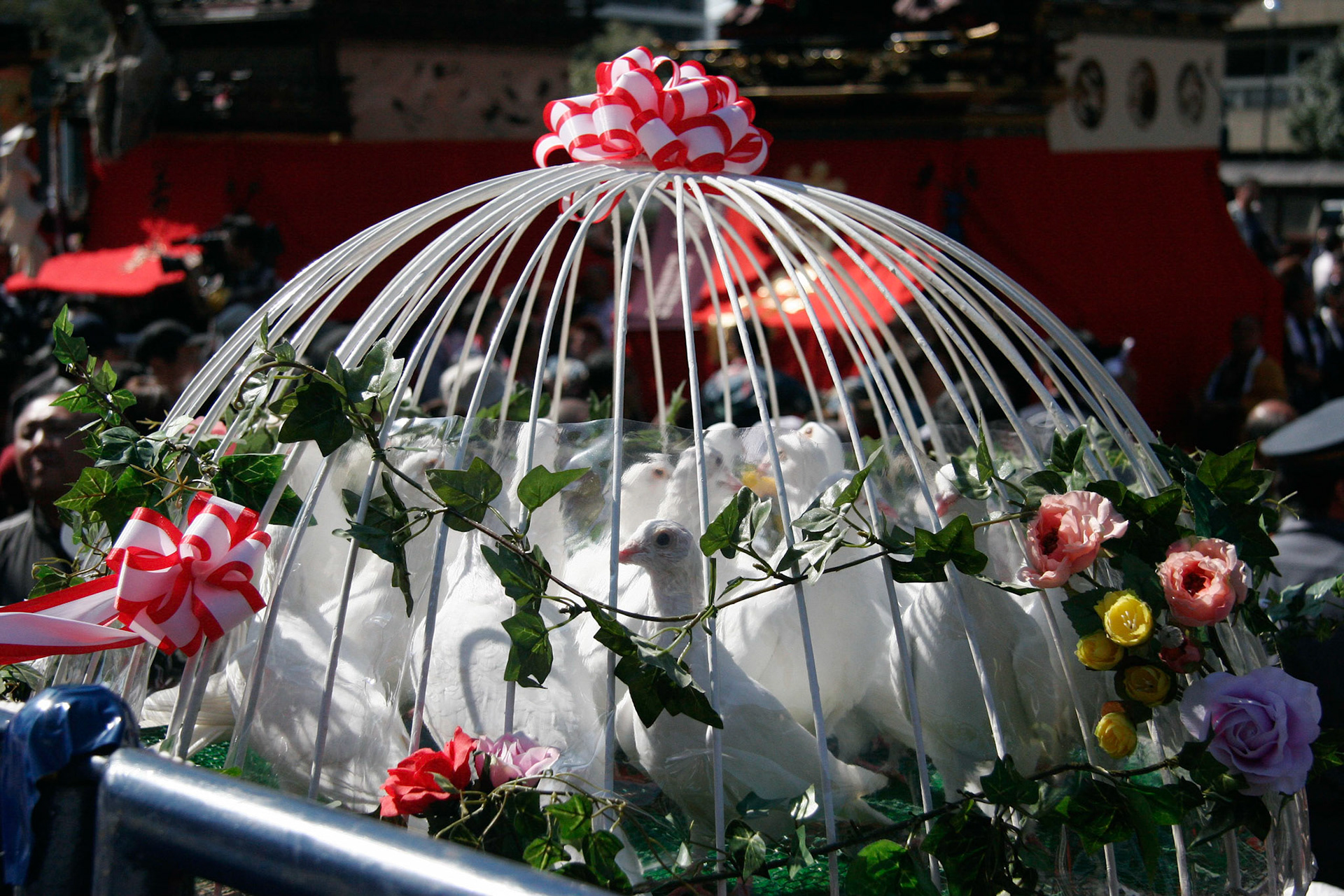 Doves, Nagoya, Japan