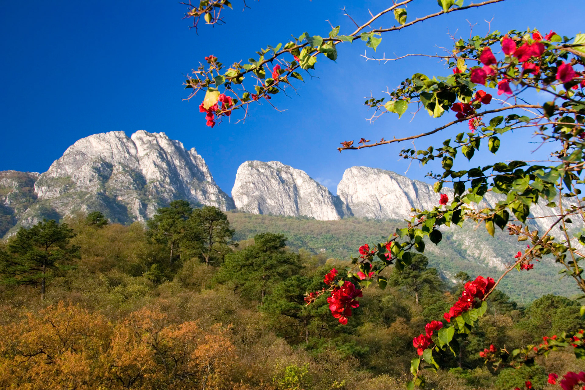 Chipinque Mountains, Mexico