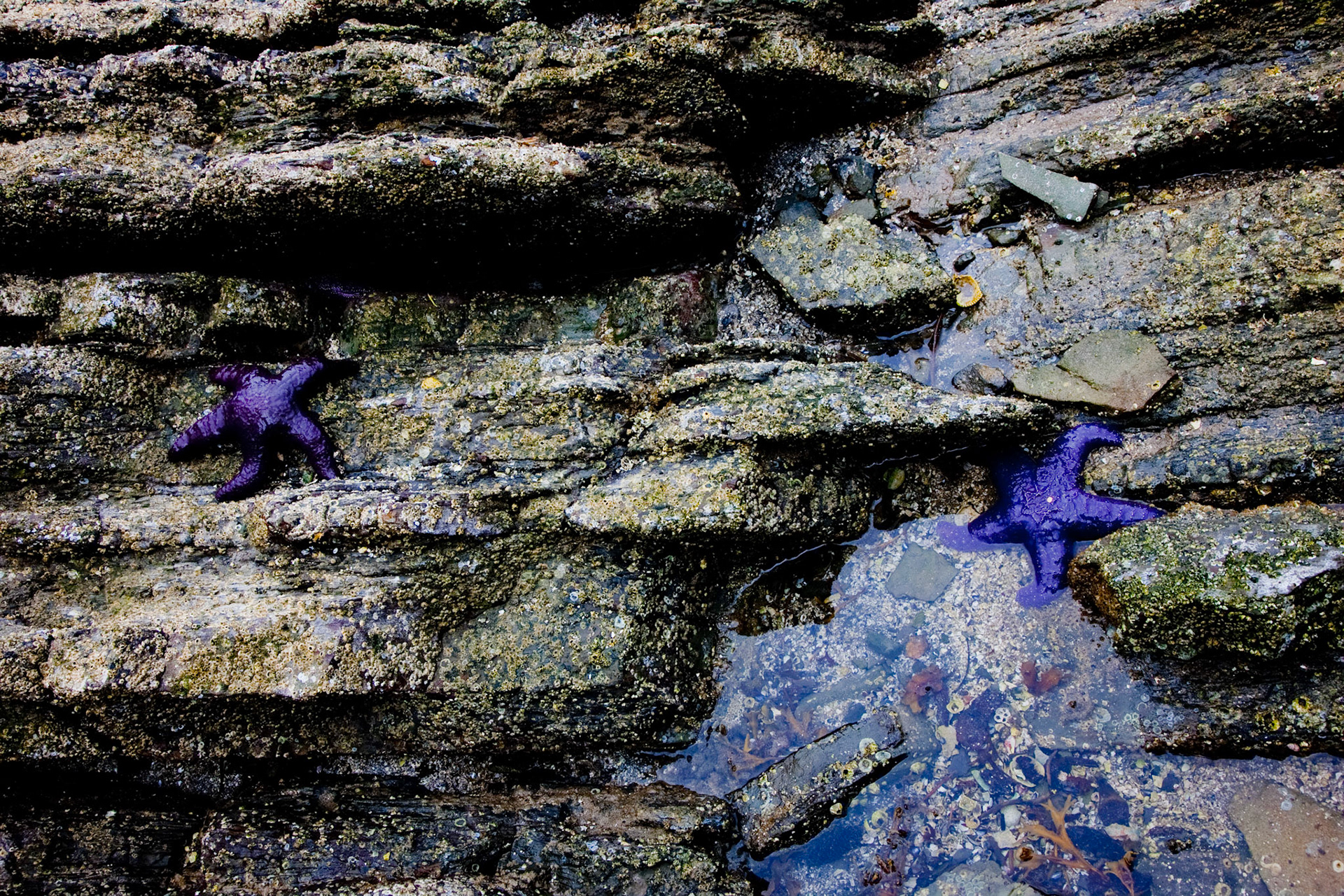 Saltspring Island, British Columbia