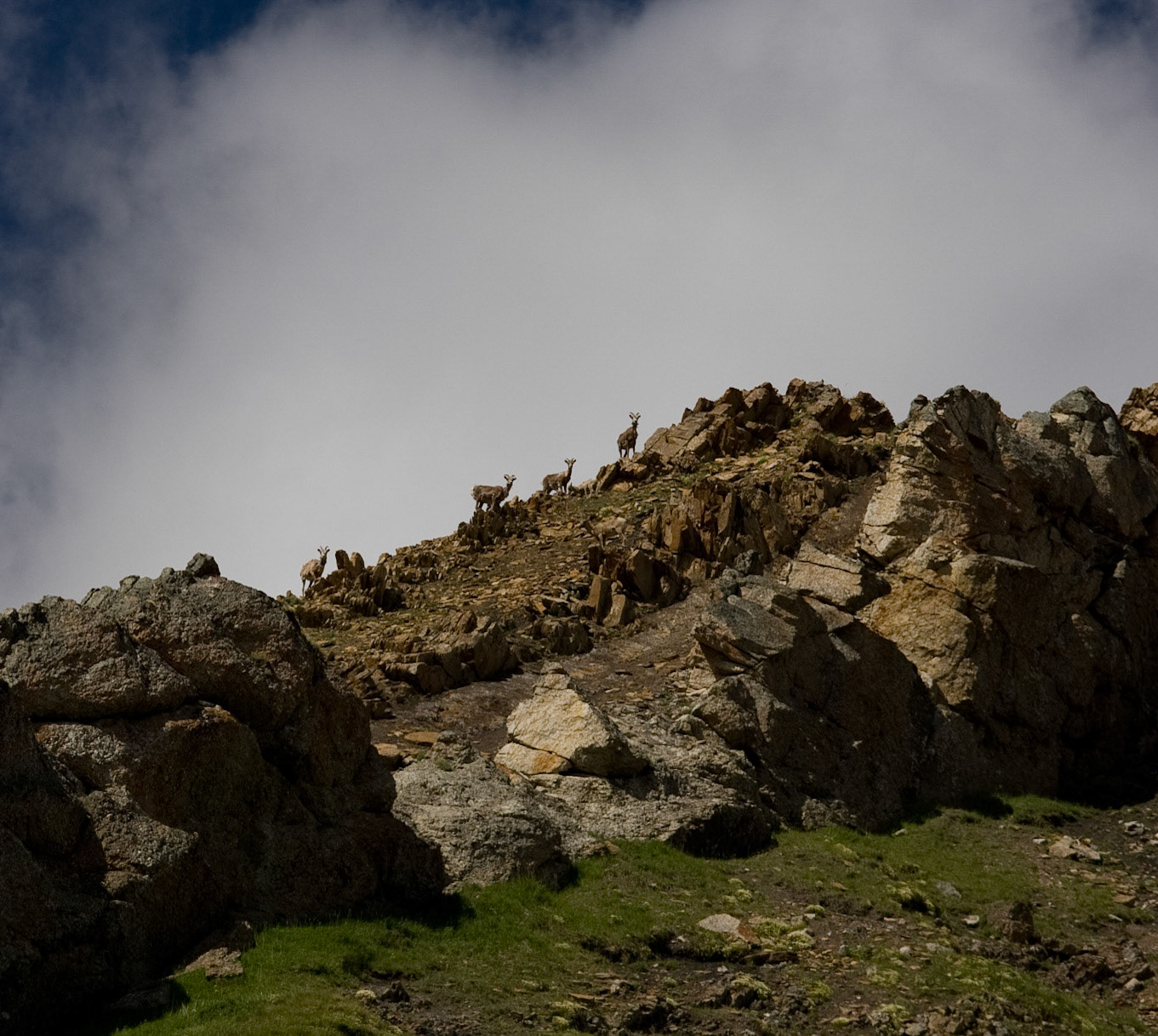 Willmore Wilderness Park, Alberta