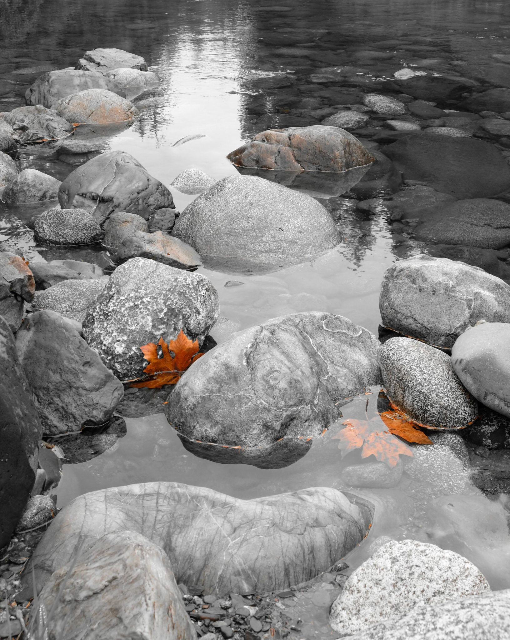 Goldstream Provincial Park, Vancouver Island