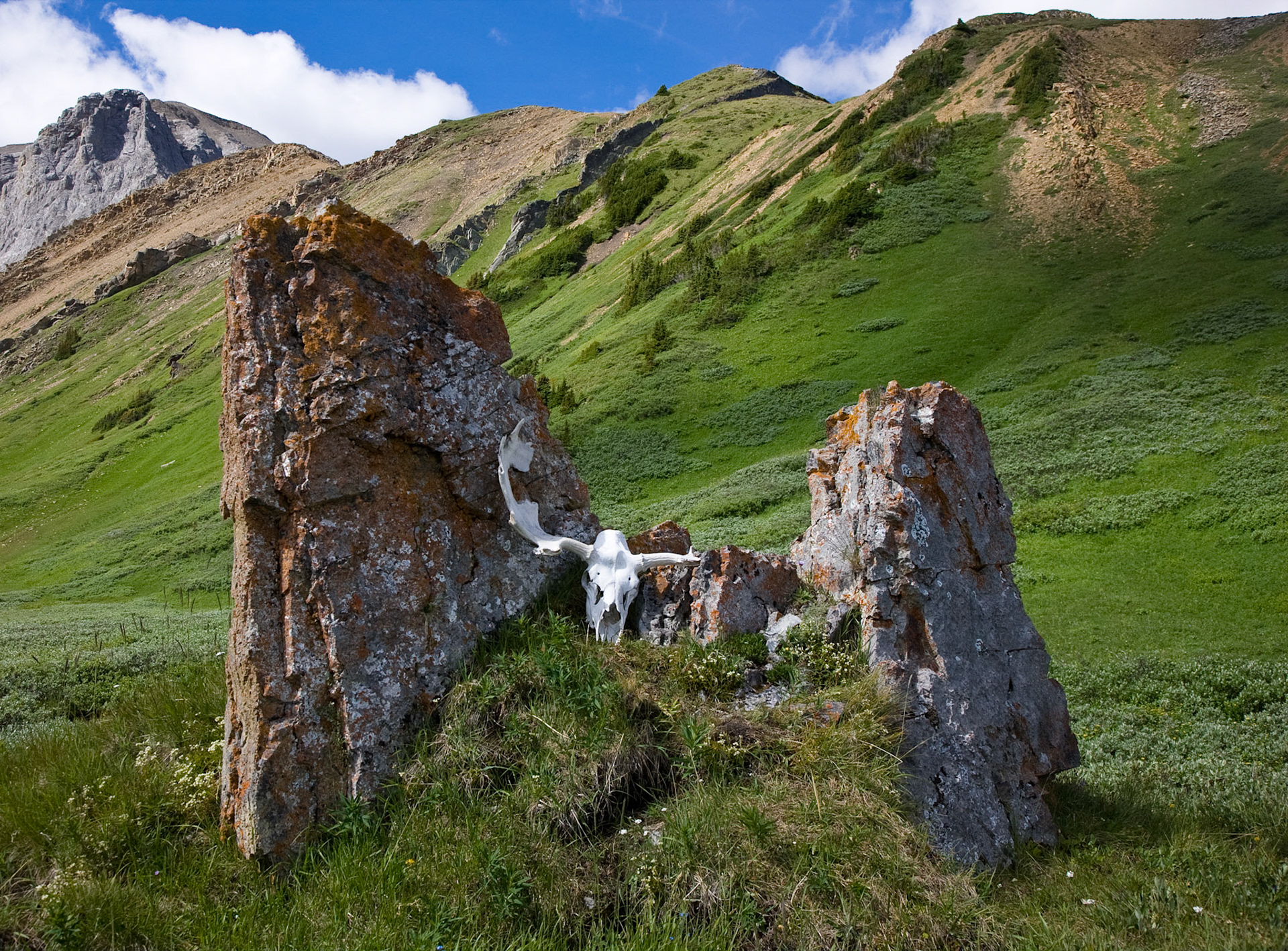 Willmore Wilderness Park, Alberta