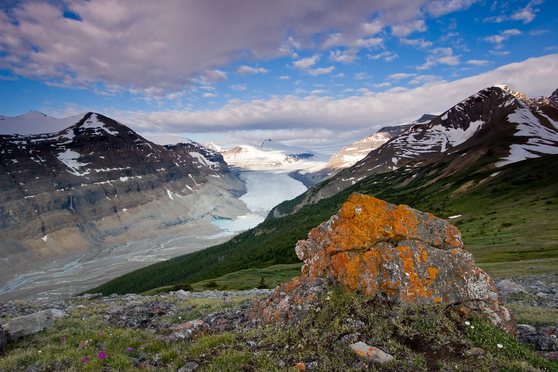 Saskatchewan Glacier, Banff National Park, Alberta
