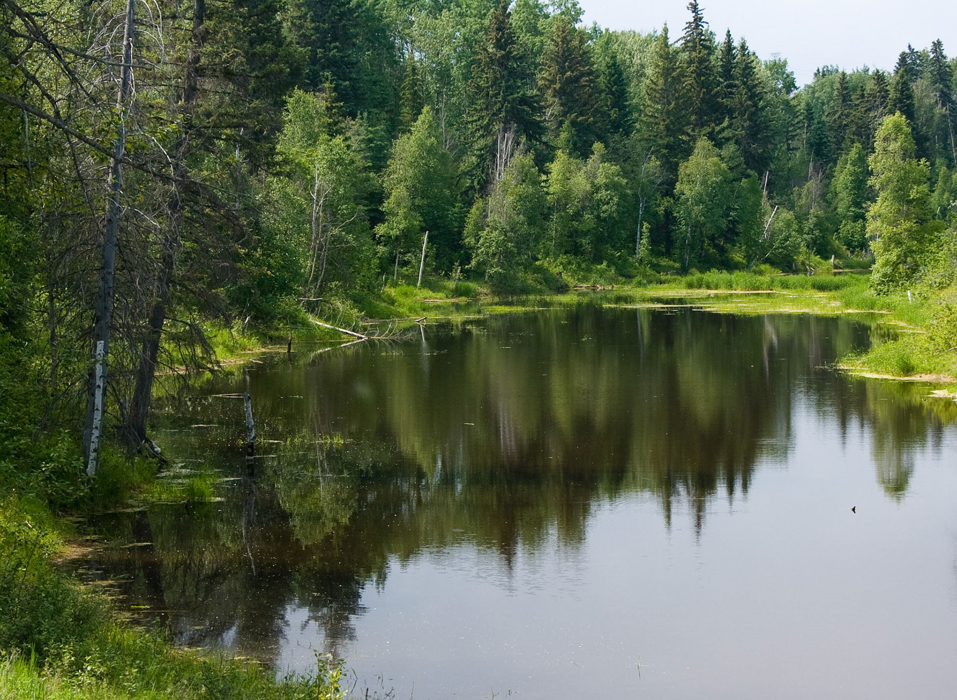 Near Edmonton, Alberta
