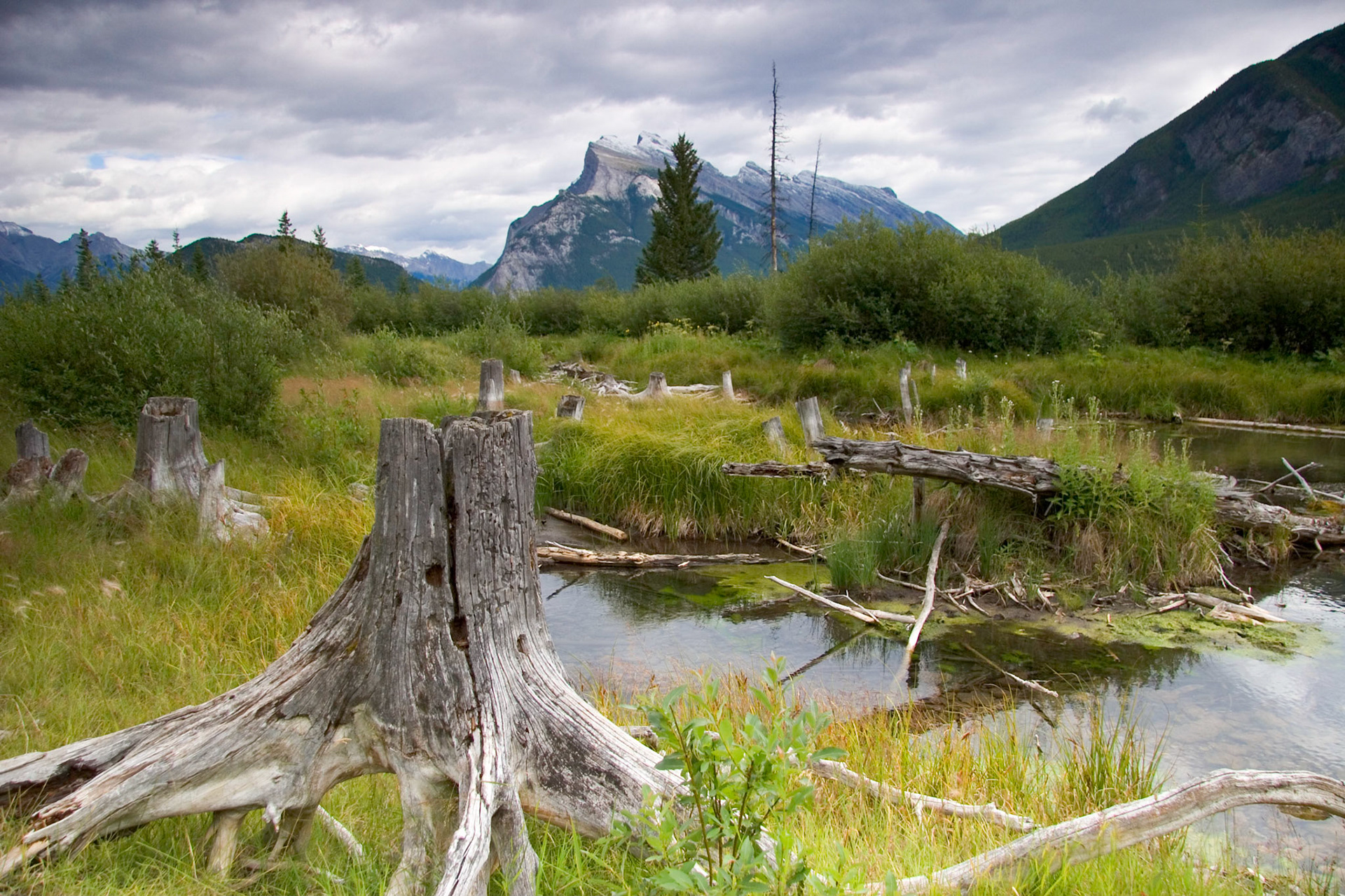 Mt. Rundle, Banff National Park, Alberta