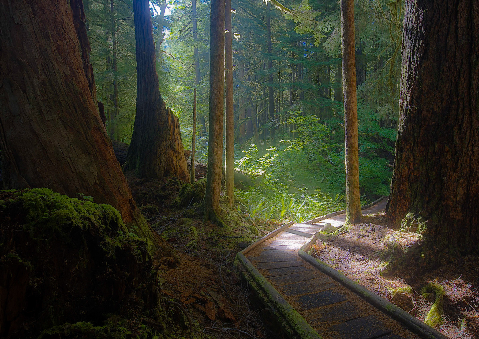 Olympic National Park, Washington State