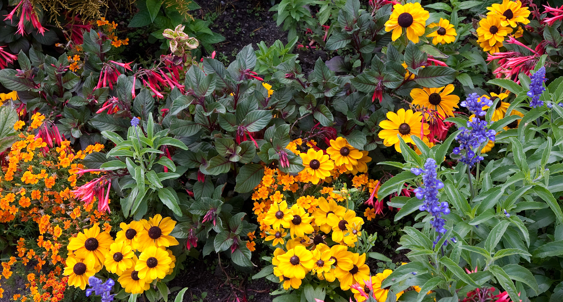 Stanley Park, B.C., Canada