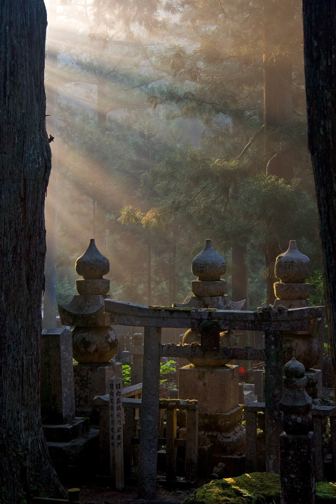 Cedars and monuments, Koyasan, Japan
