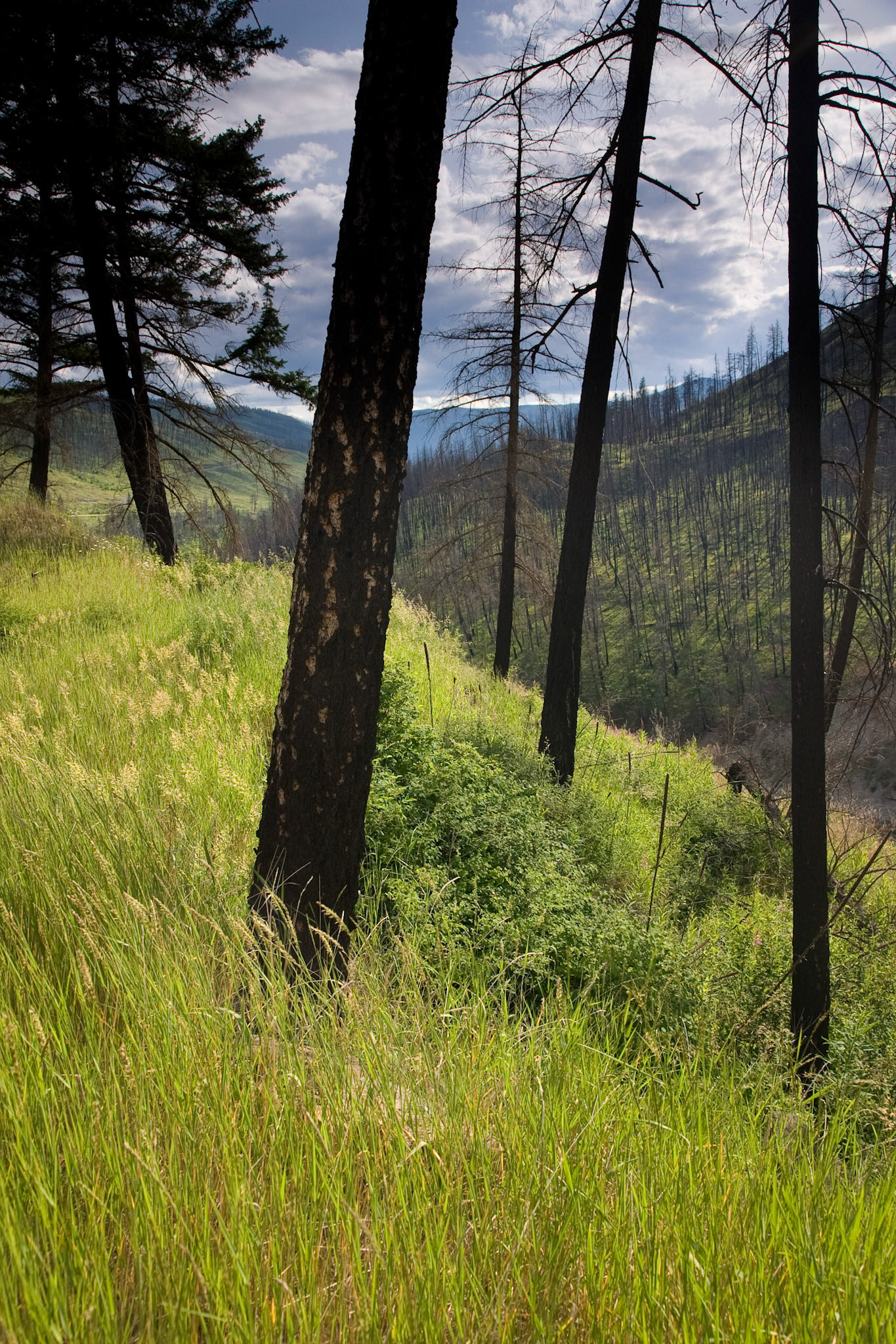 Near Kamploops, B.C.