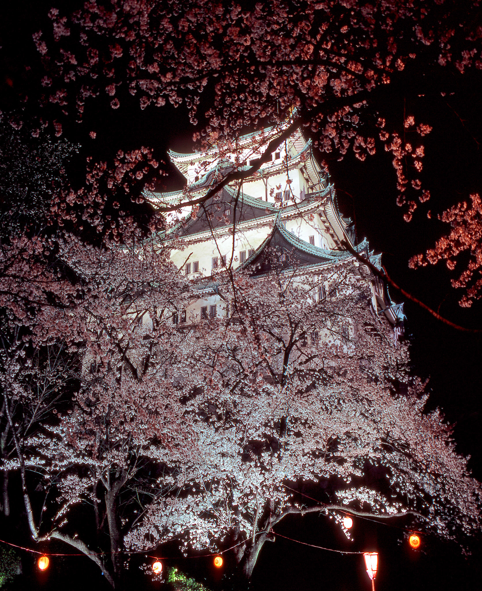 Nagoya Castle at night, Japan