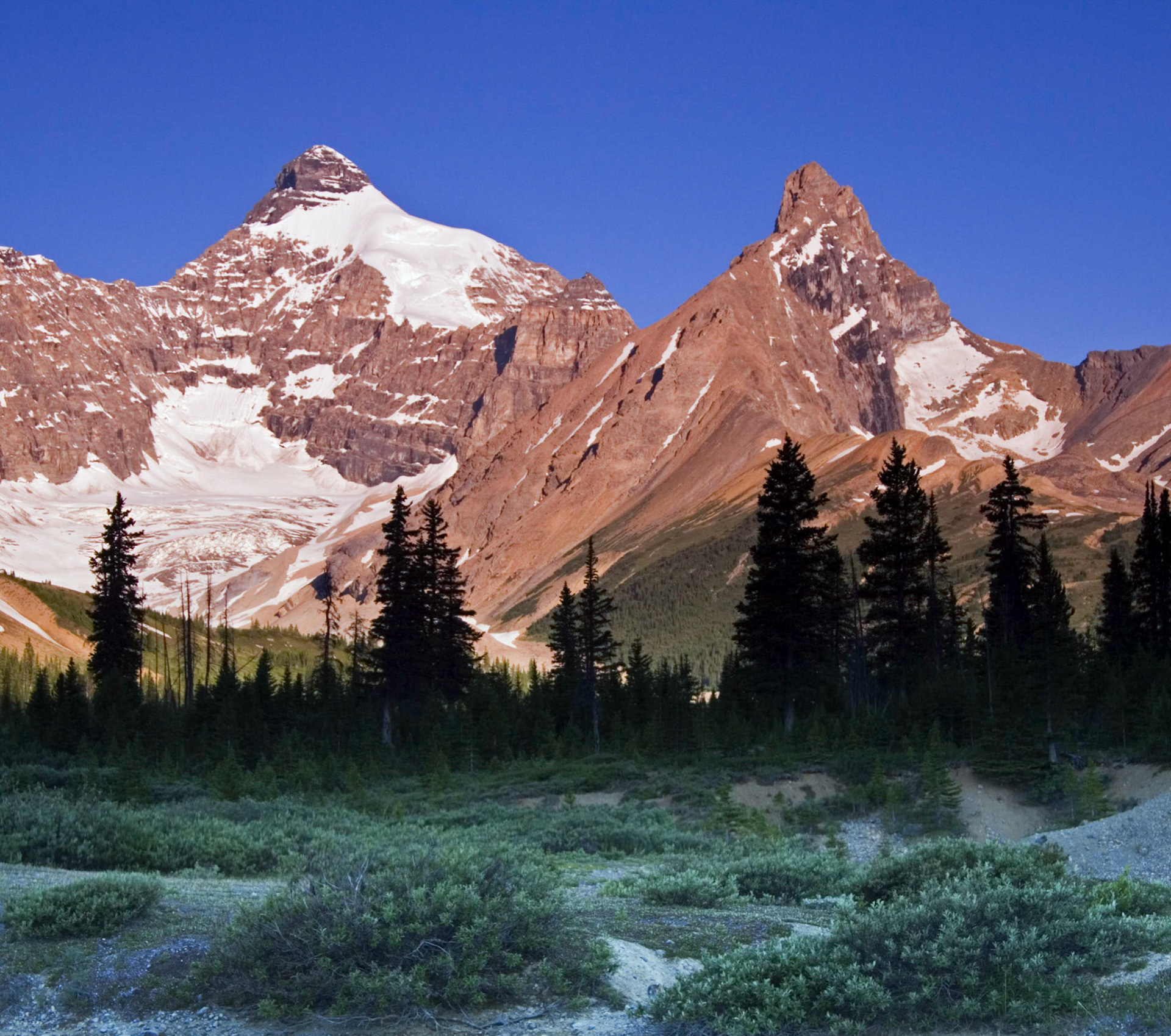 Andromeda &amp; Athabasca, Banff National Park, Alberta