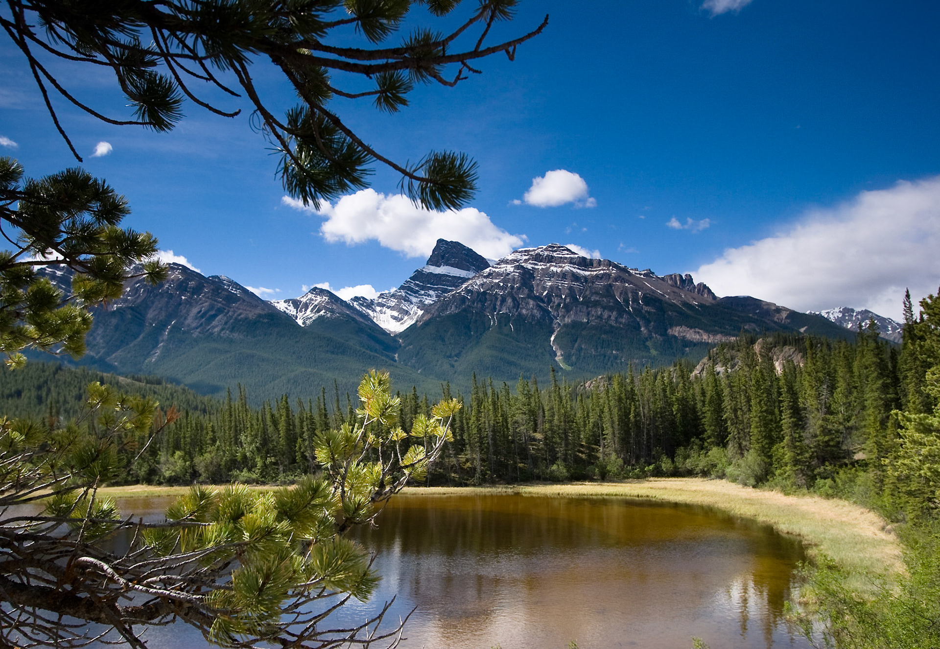 Mount Peskett at Whirlpool Point, Kootenay Plains, Bighorn Wildlands, Alberta, Canada