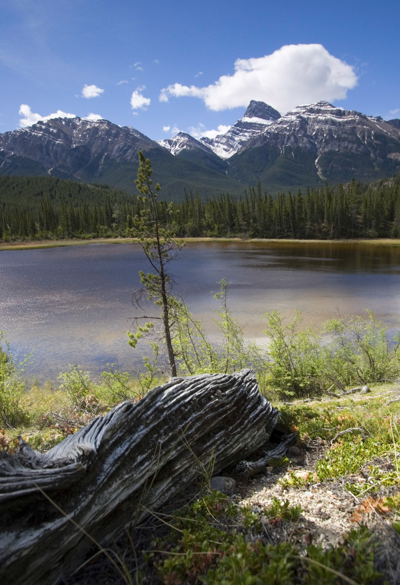 Mt. Peskett, Alberta