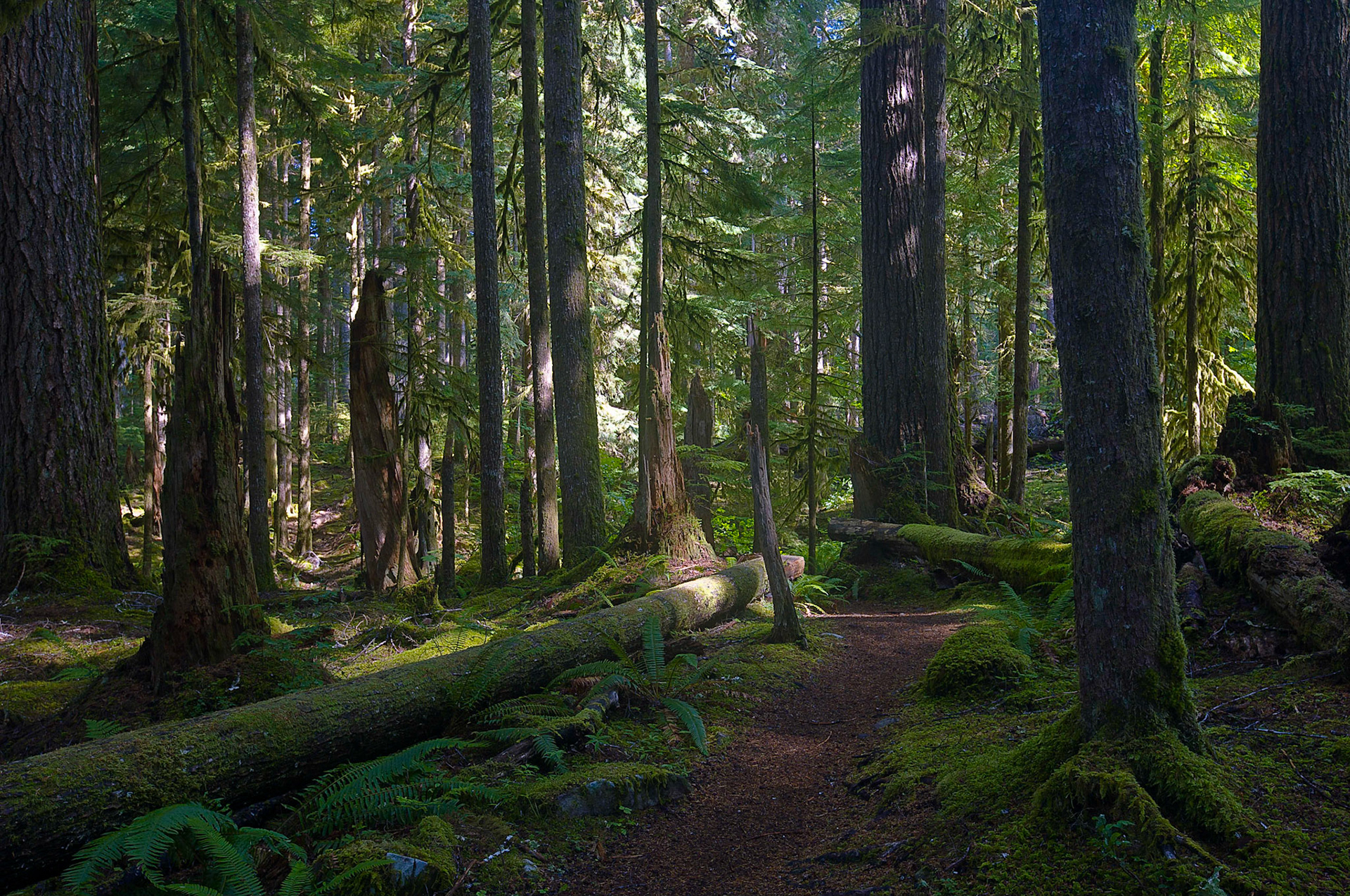 Olympic National Park, Washington State