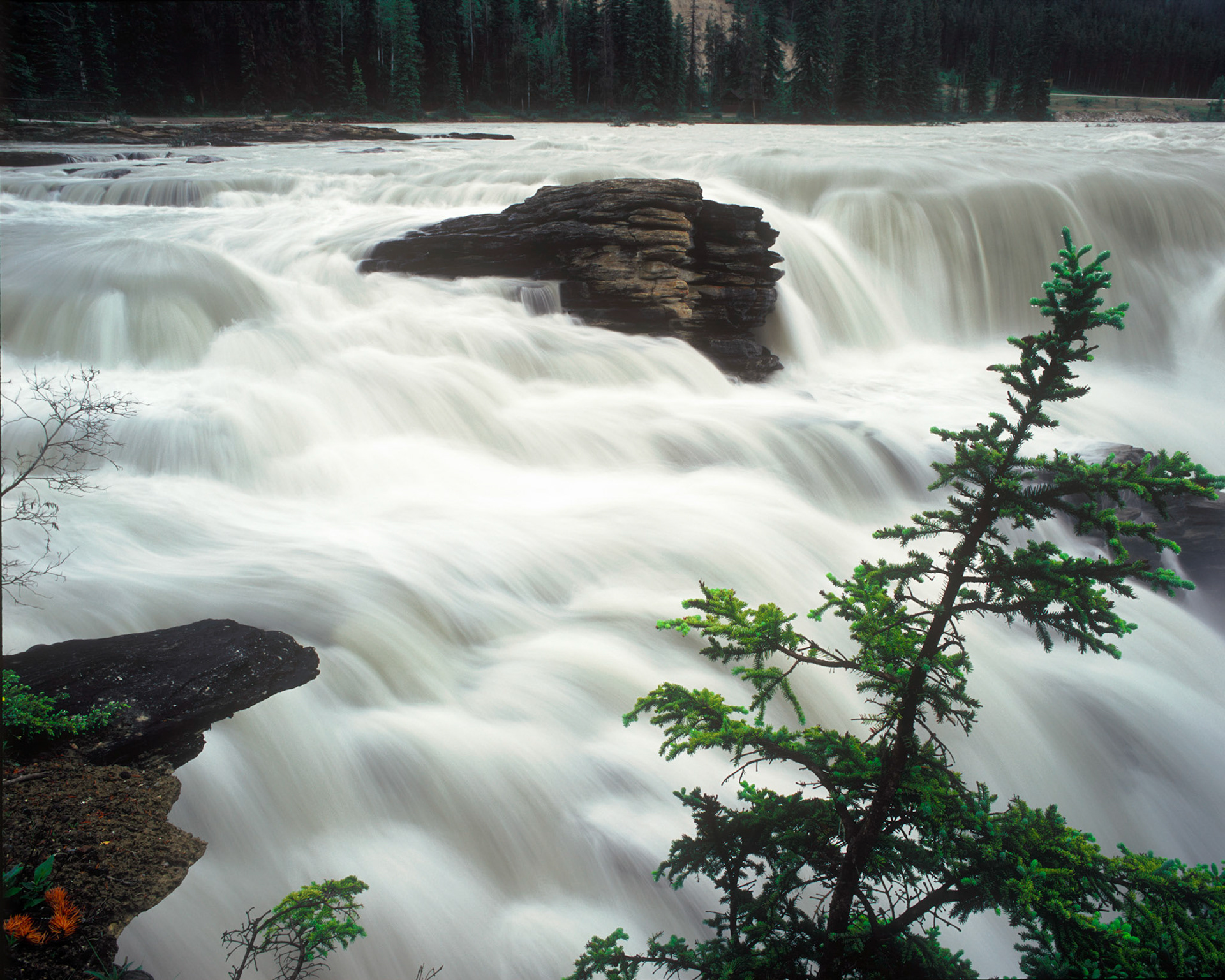 Athabasca Falls, Jasper National Park, Alberta