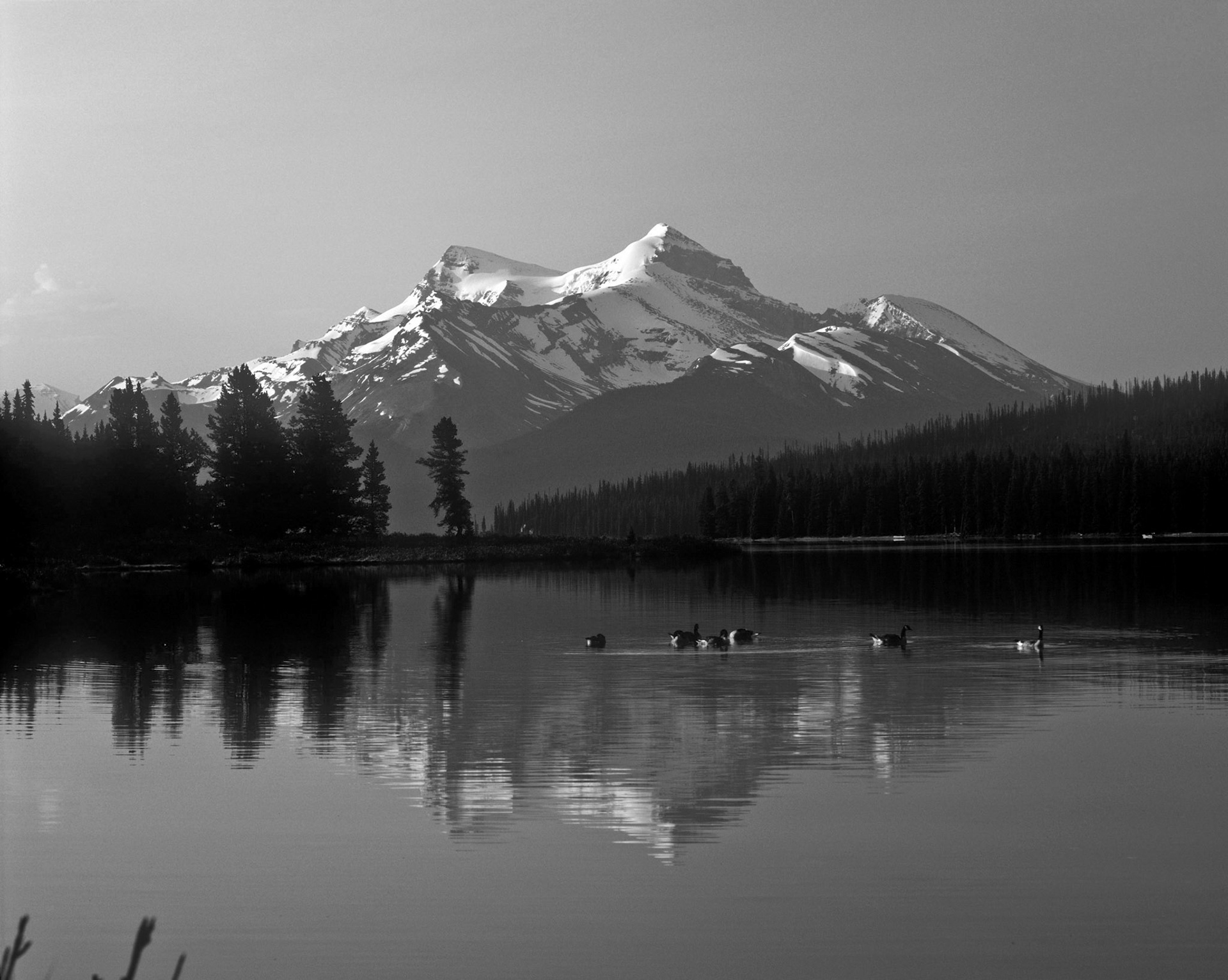 Maligne Lake, Jasper National Park, Alberta
