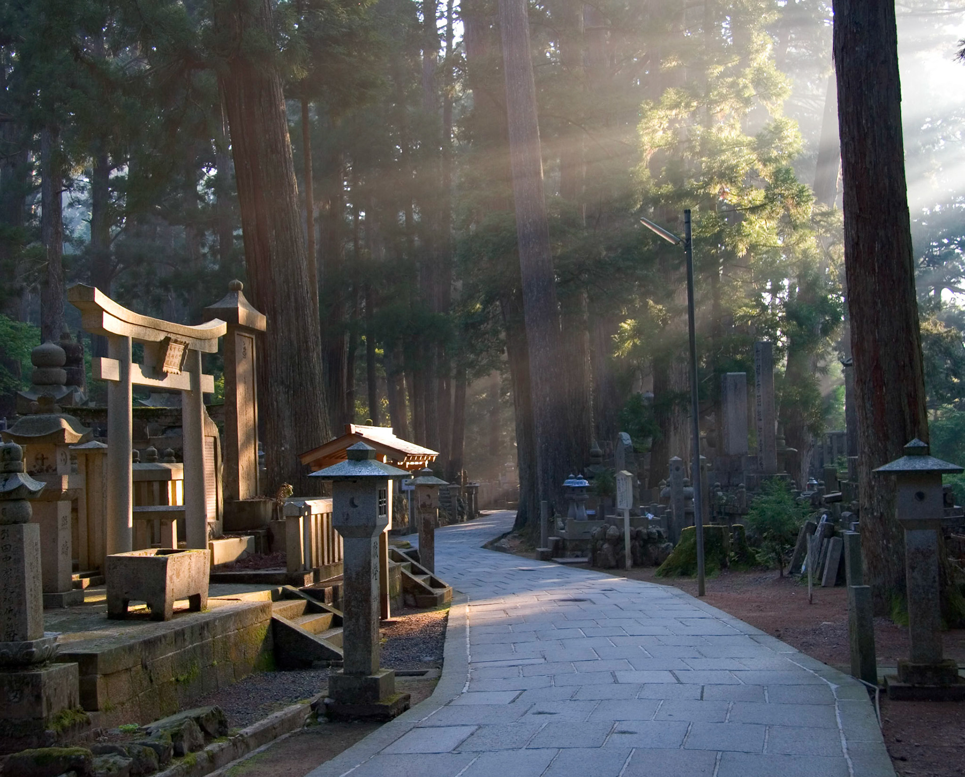 Okunoin Morning, Koyasan, Japan