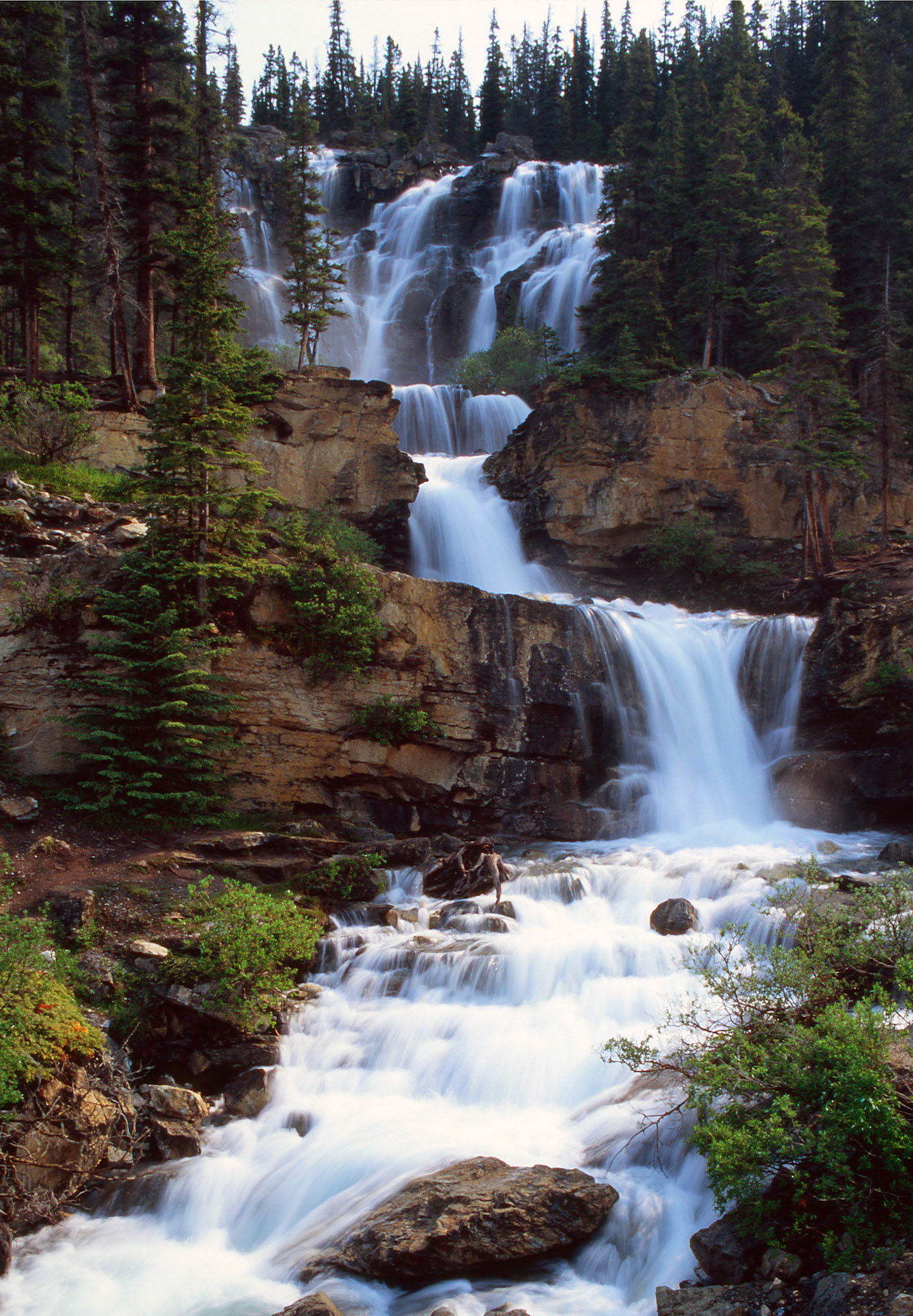Tangle Falls, Jasper National Park
