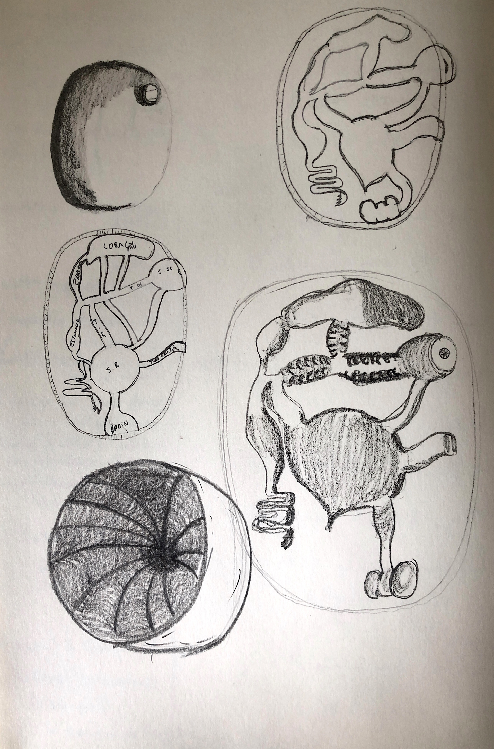 Draft