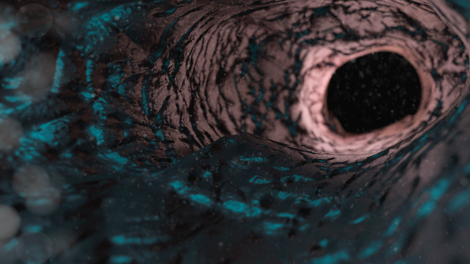 Interior Test