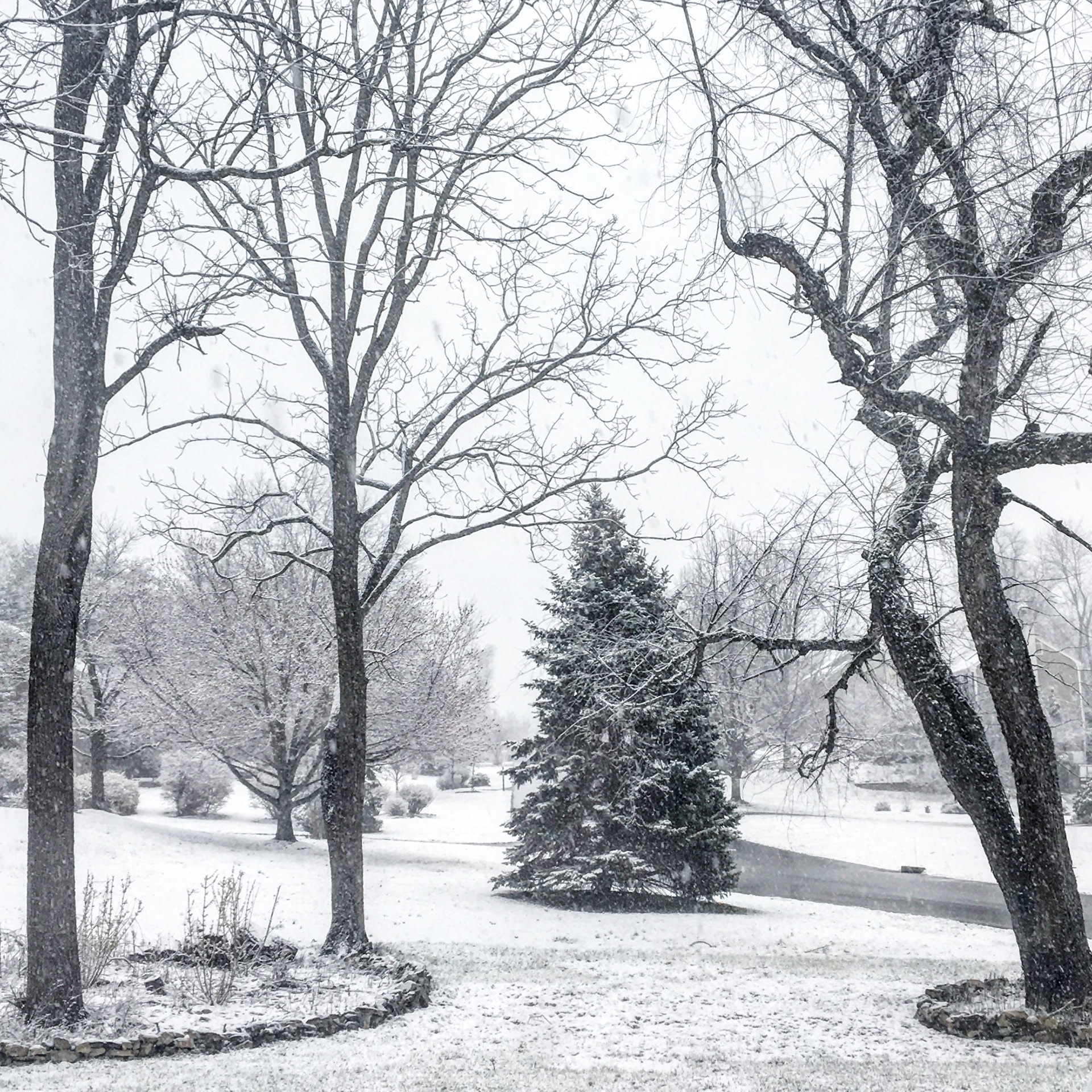 snowy days