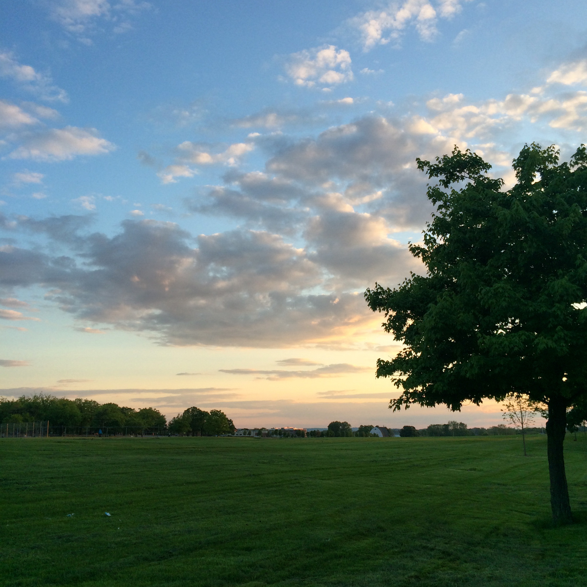 sunset runs