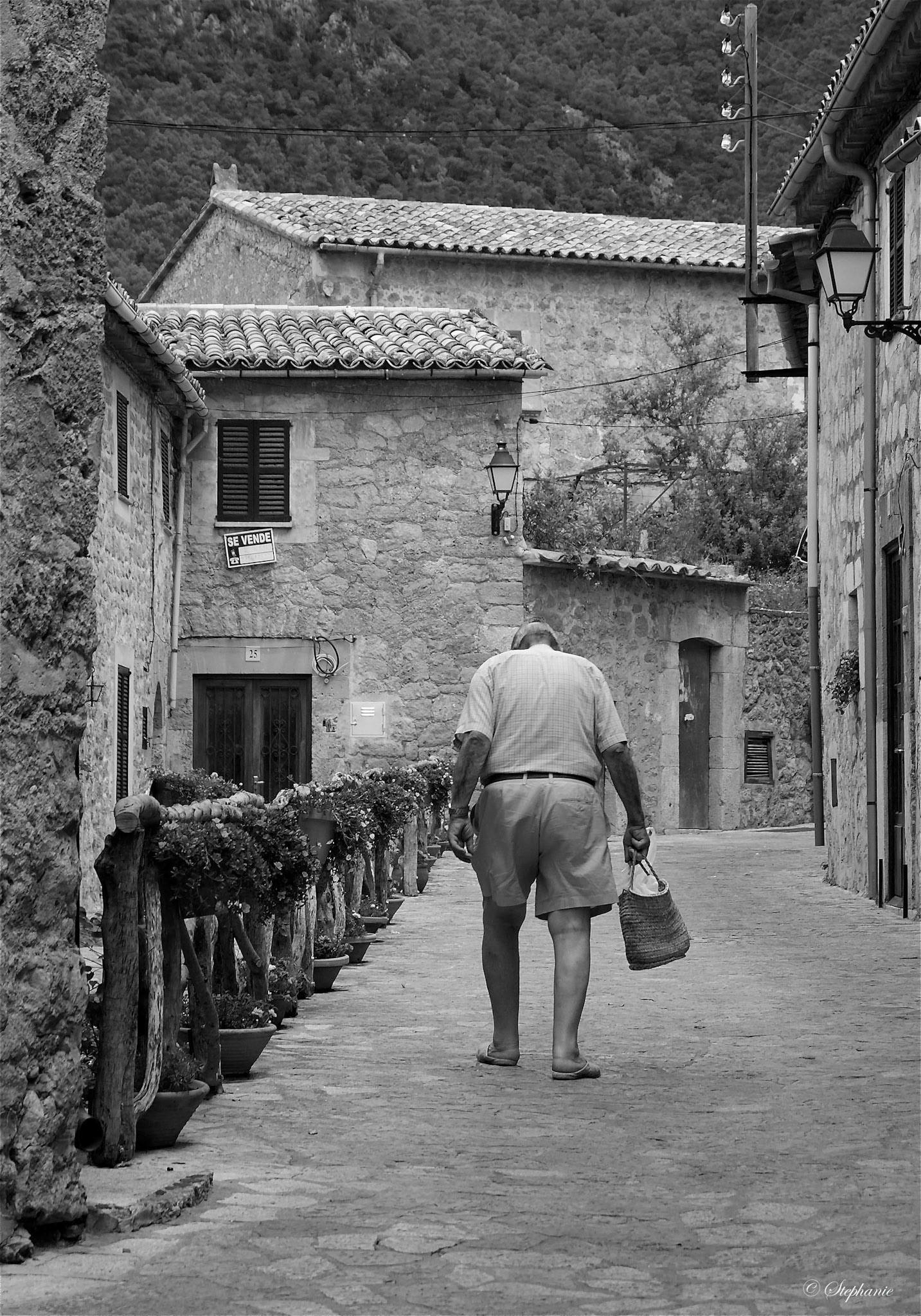 Valdemosa Mallorca