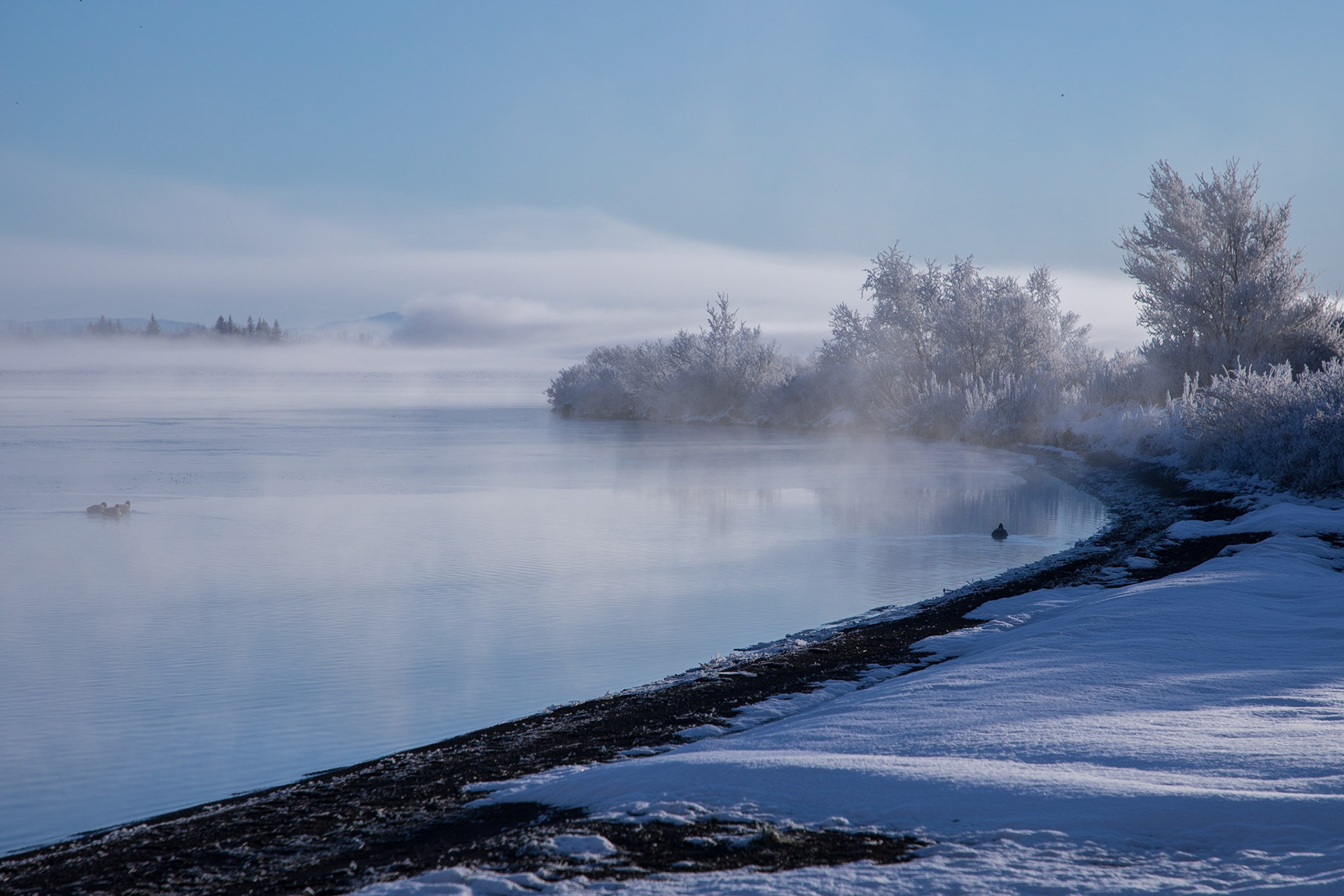 Iceland in November