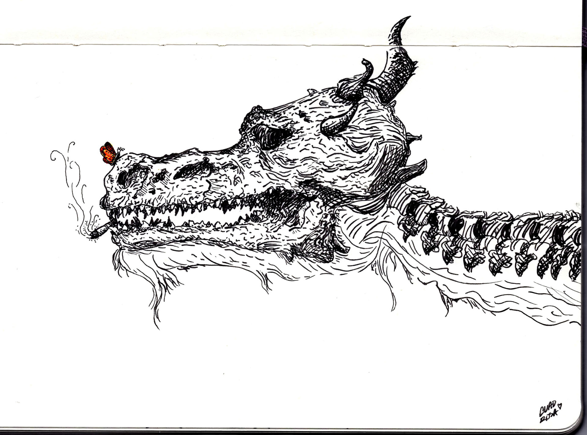Pondering Dragon