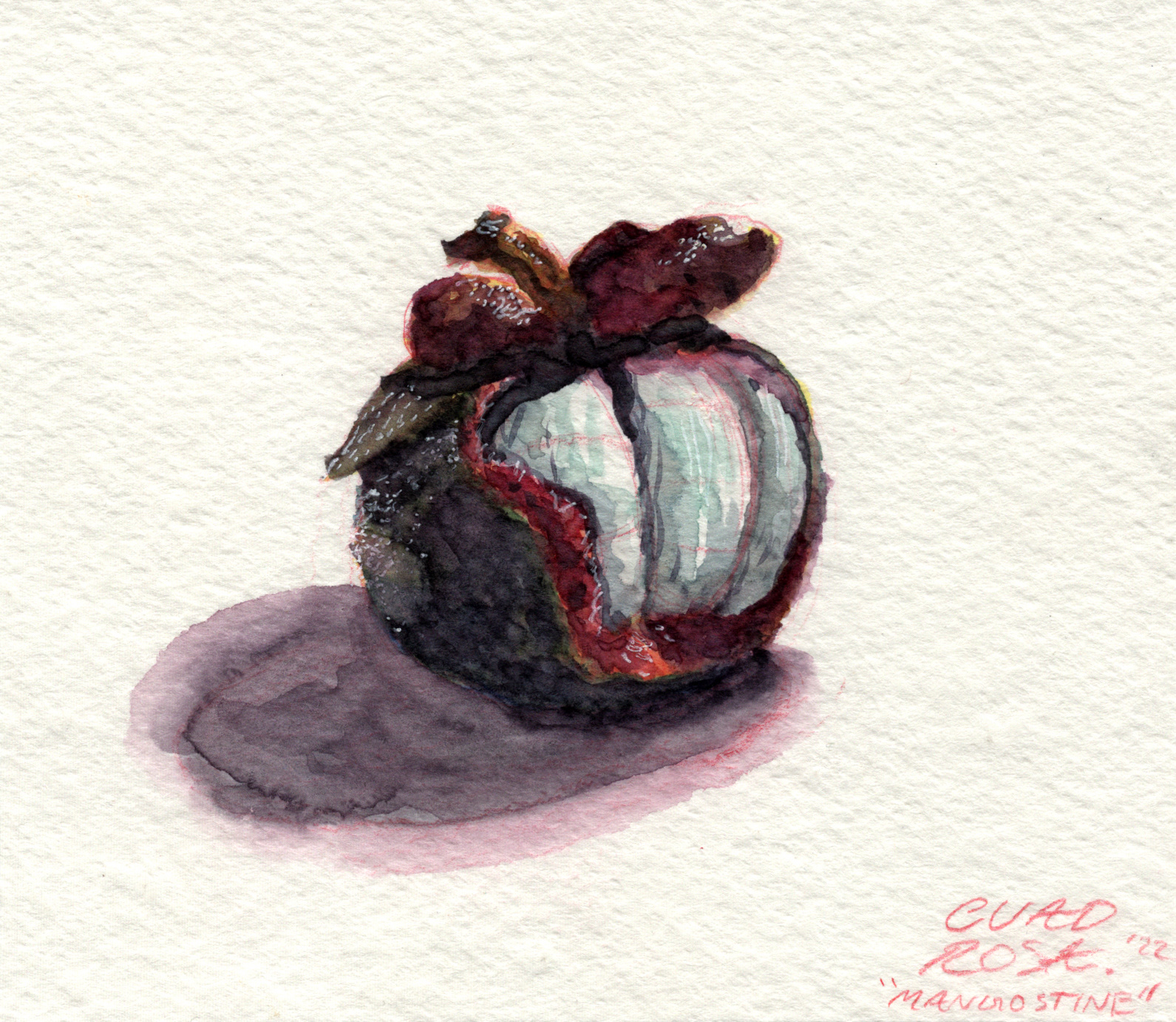 Mangostine, Watercolor 4"x4"