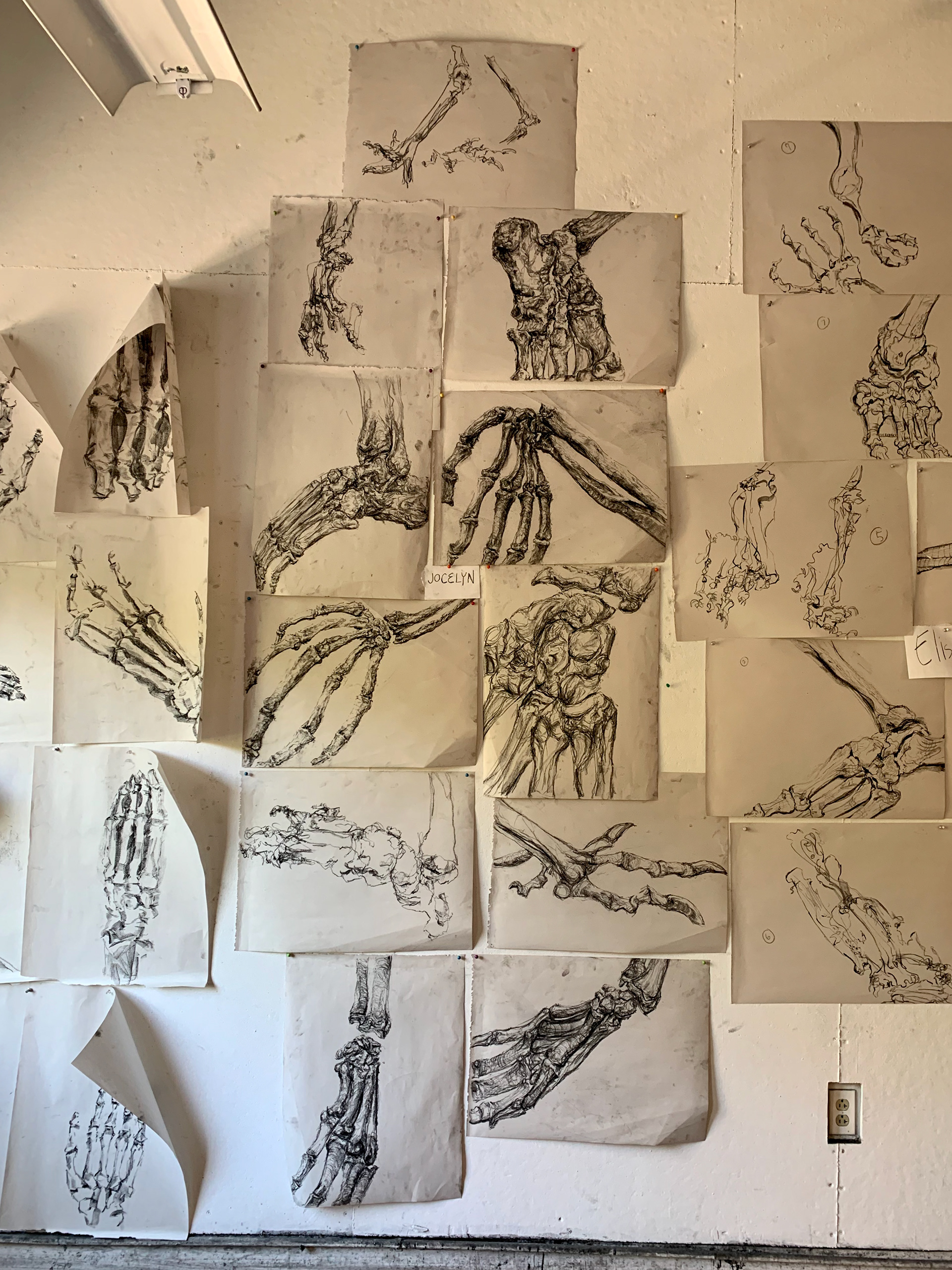 Week 2: drawing skeletal hands and feet using marks and lines