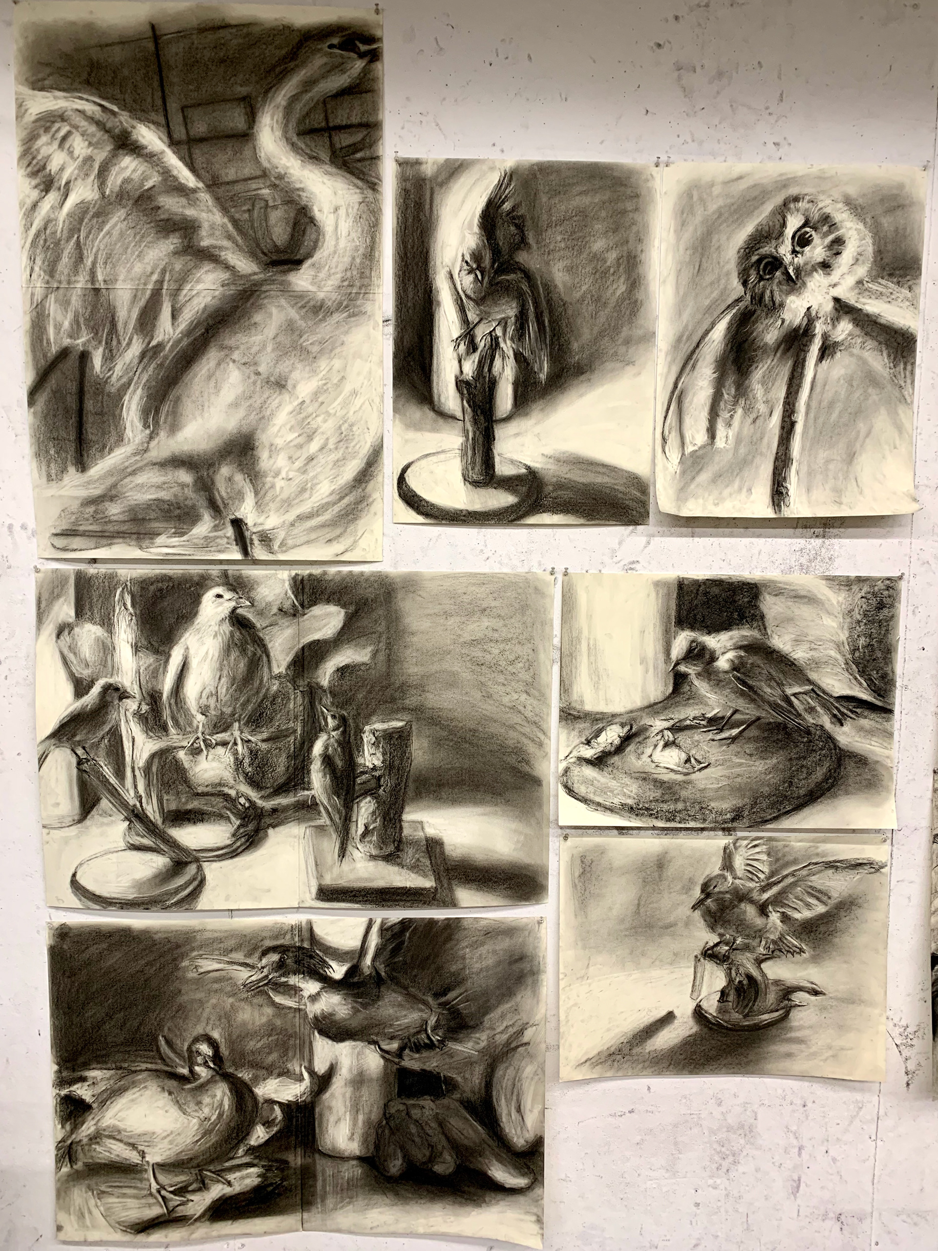 Final drawing series week 1