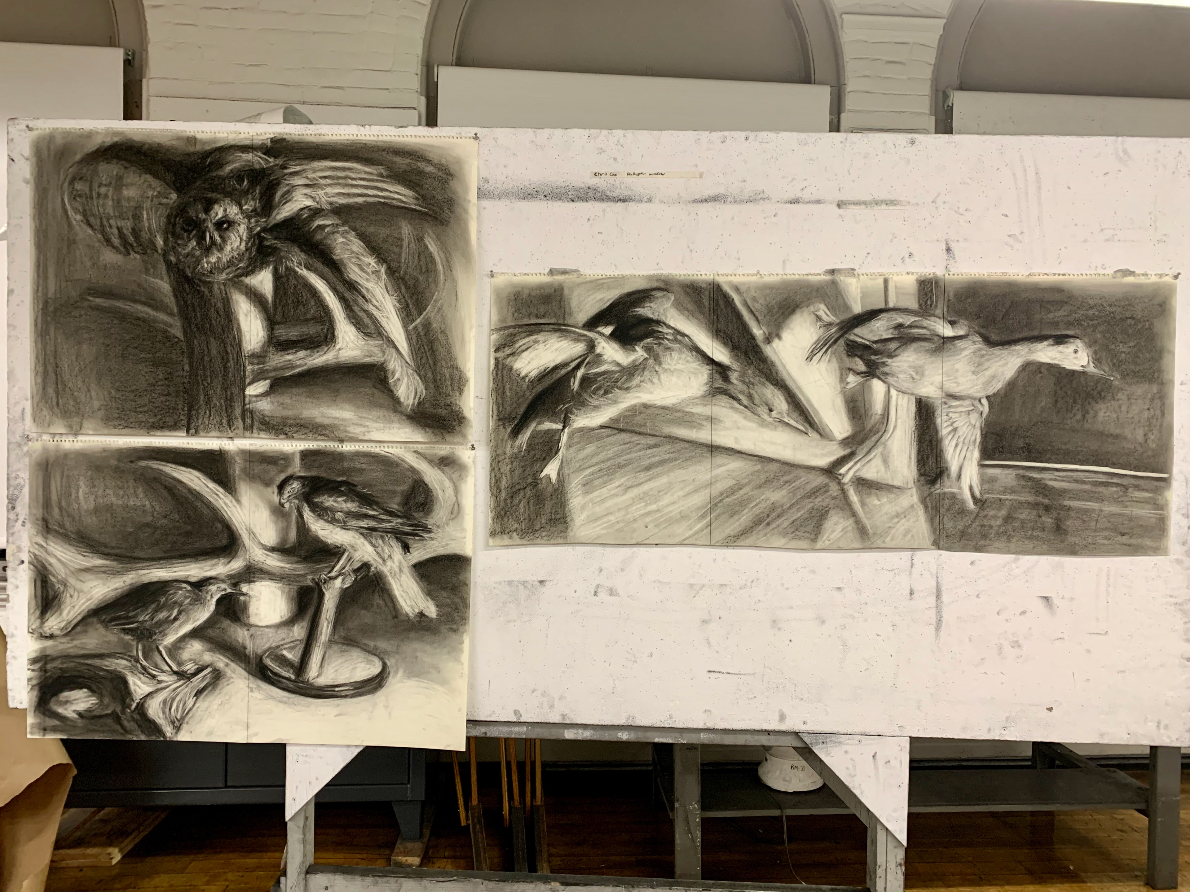 Final drawing series week 2