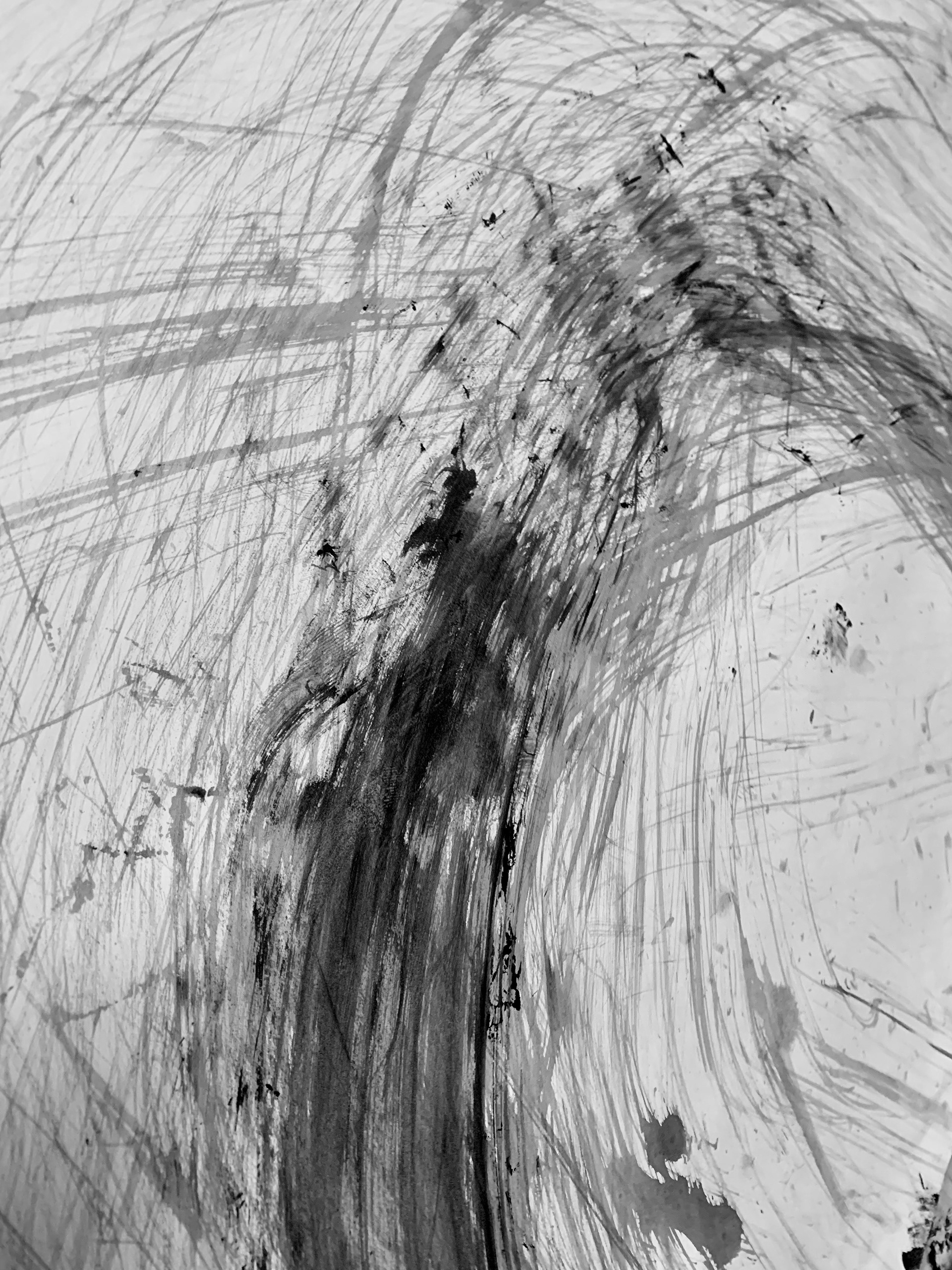 36x48" mark close up