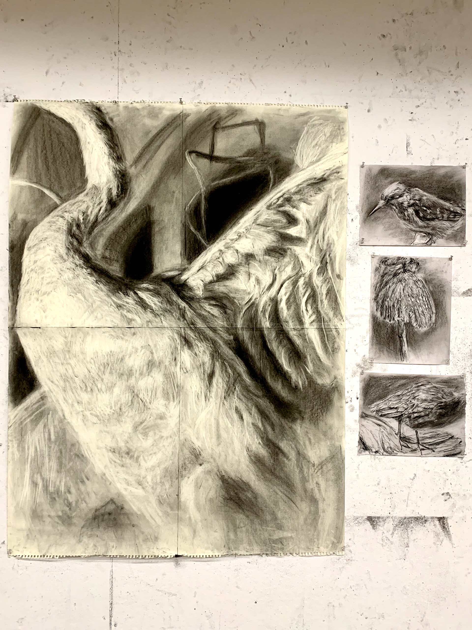 Final drawing series week 3
