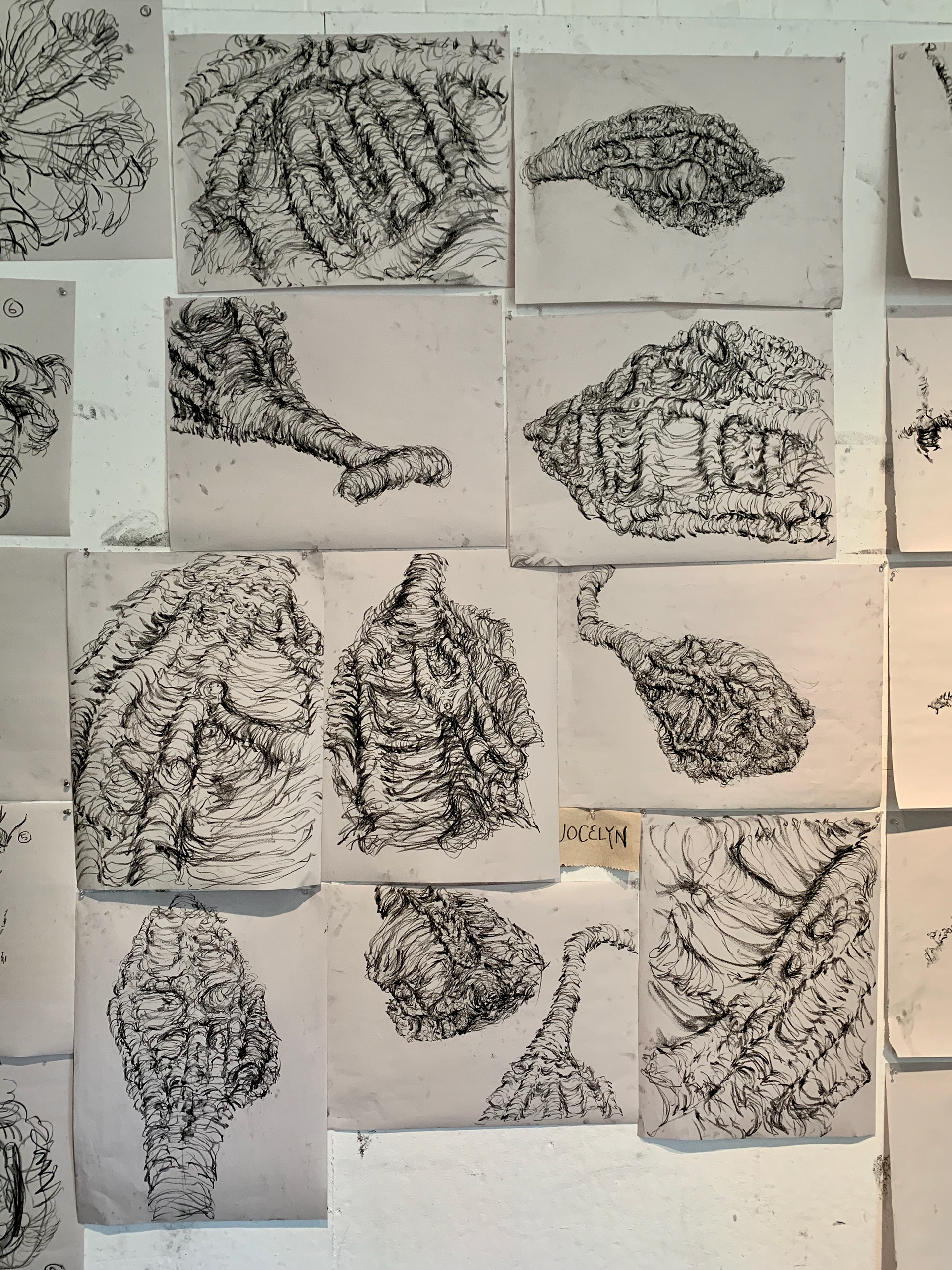 Week 3: drawing a nature form (gourd) using interior contour lines