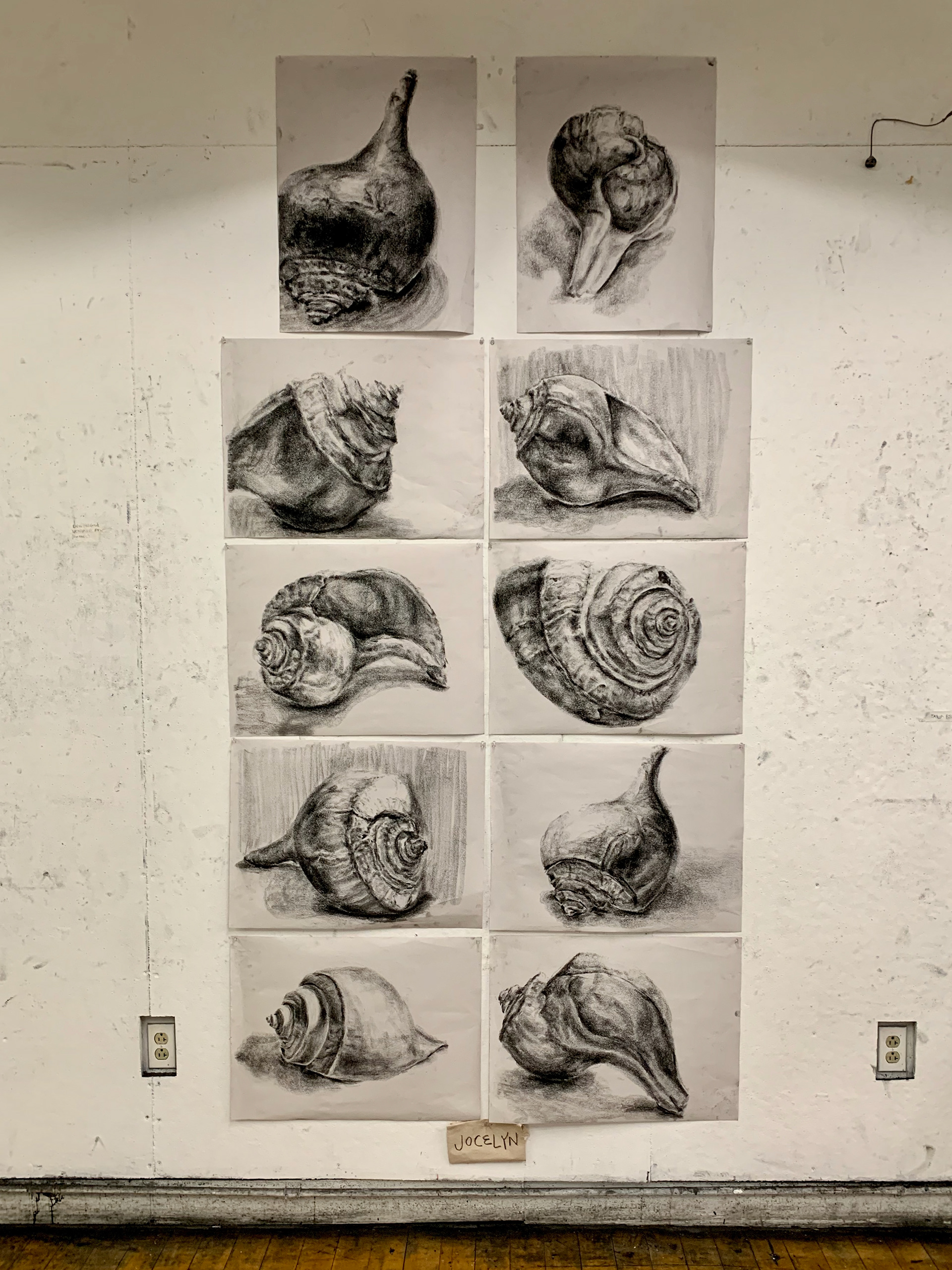 Week 4: drawing a nature form (seashell) using pure tones