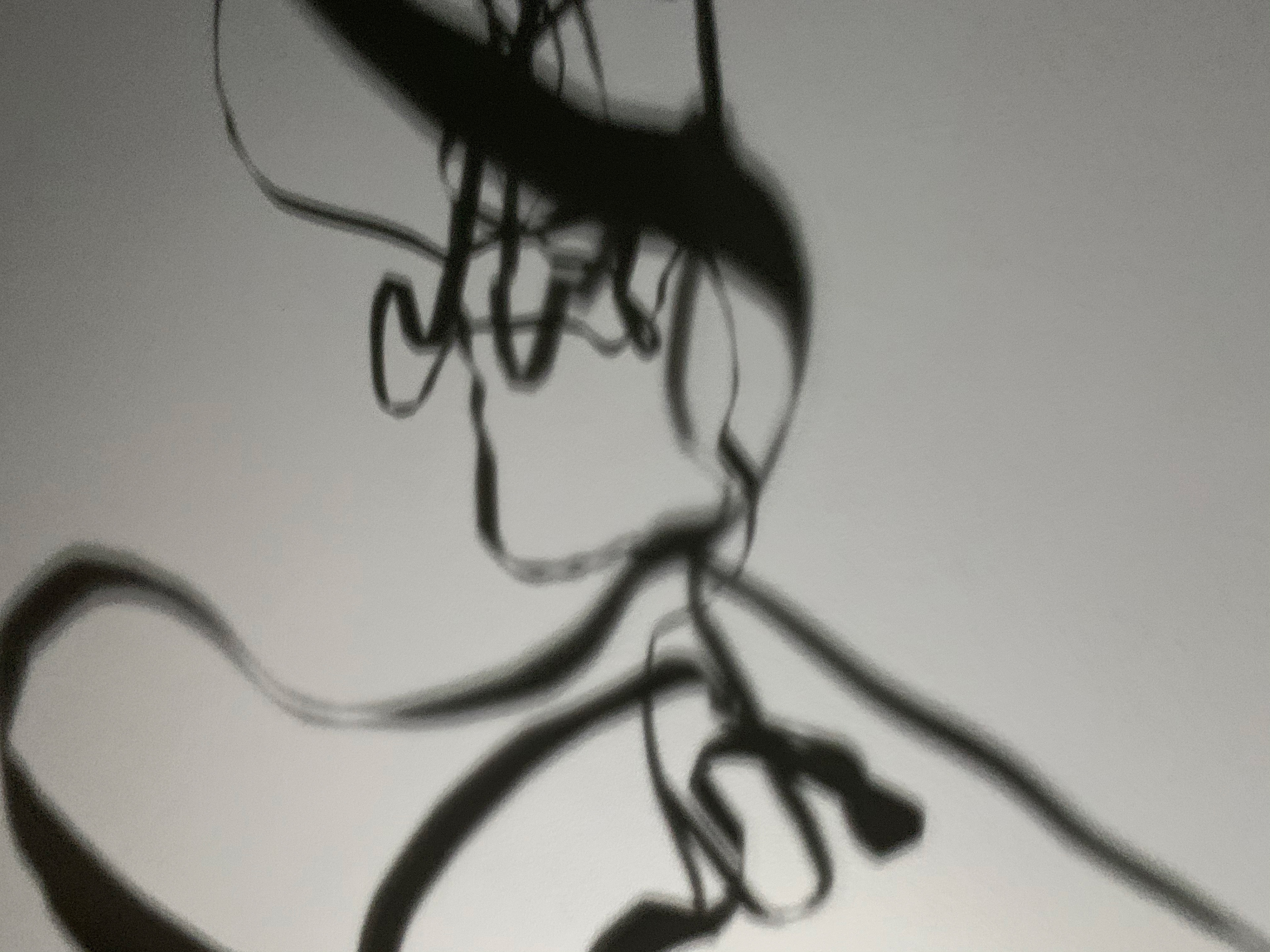 light study