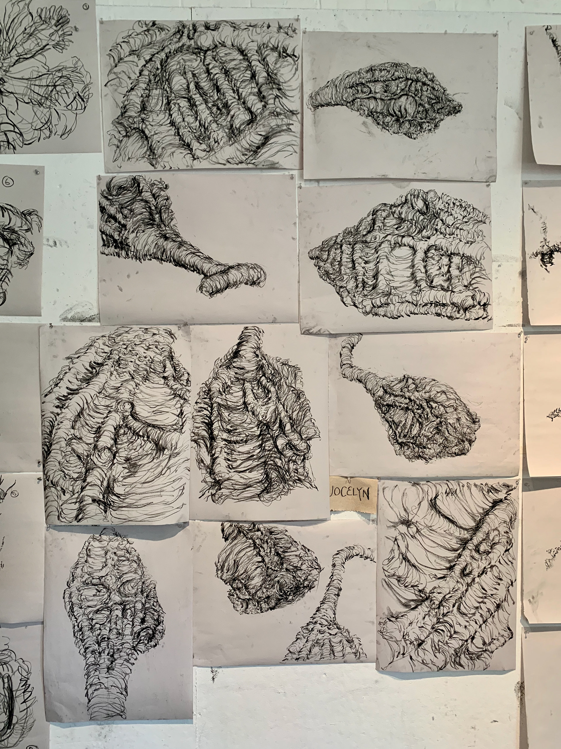 Week 3: drawing a nature form (gourd) using interior contour lines