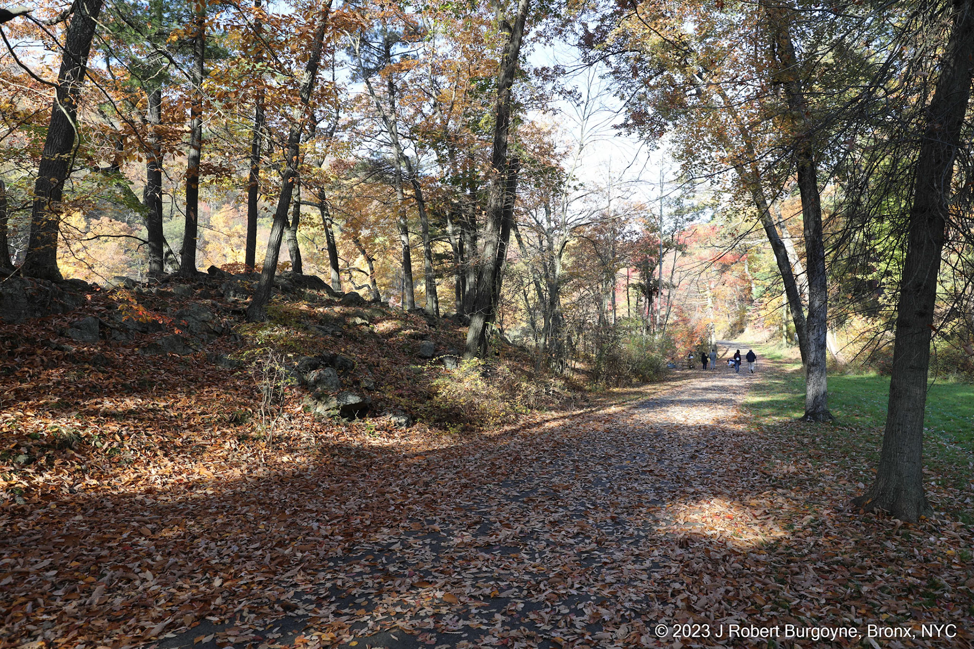 Paved Walking Trail, Plenty of Room